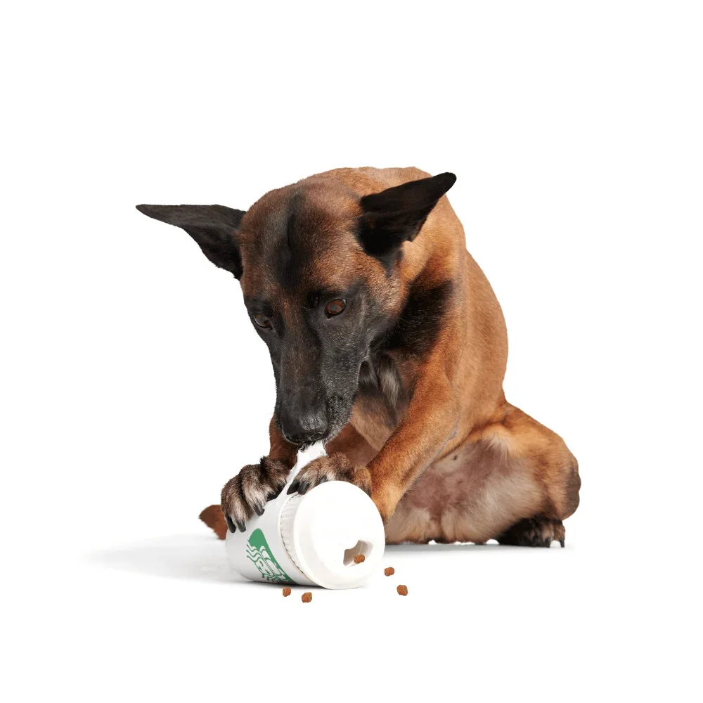 77092_2_1000x1000_7499b067-9ca1-4bb6-8329-77a17e75844c.webp