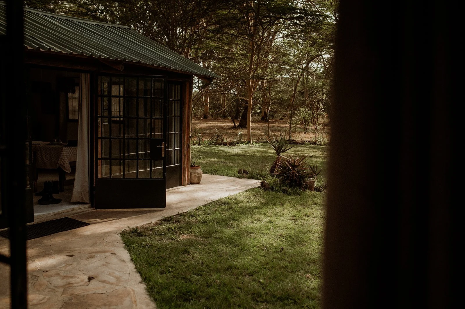 Accacia Grove: The perfect farmstay for any horsegirl travelling to Tanzania (COMING SOON). 