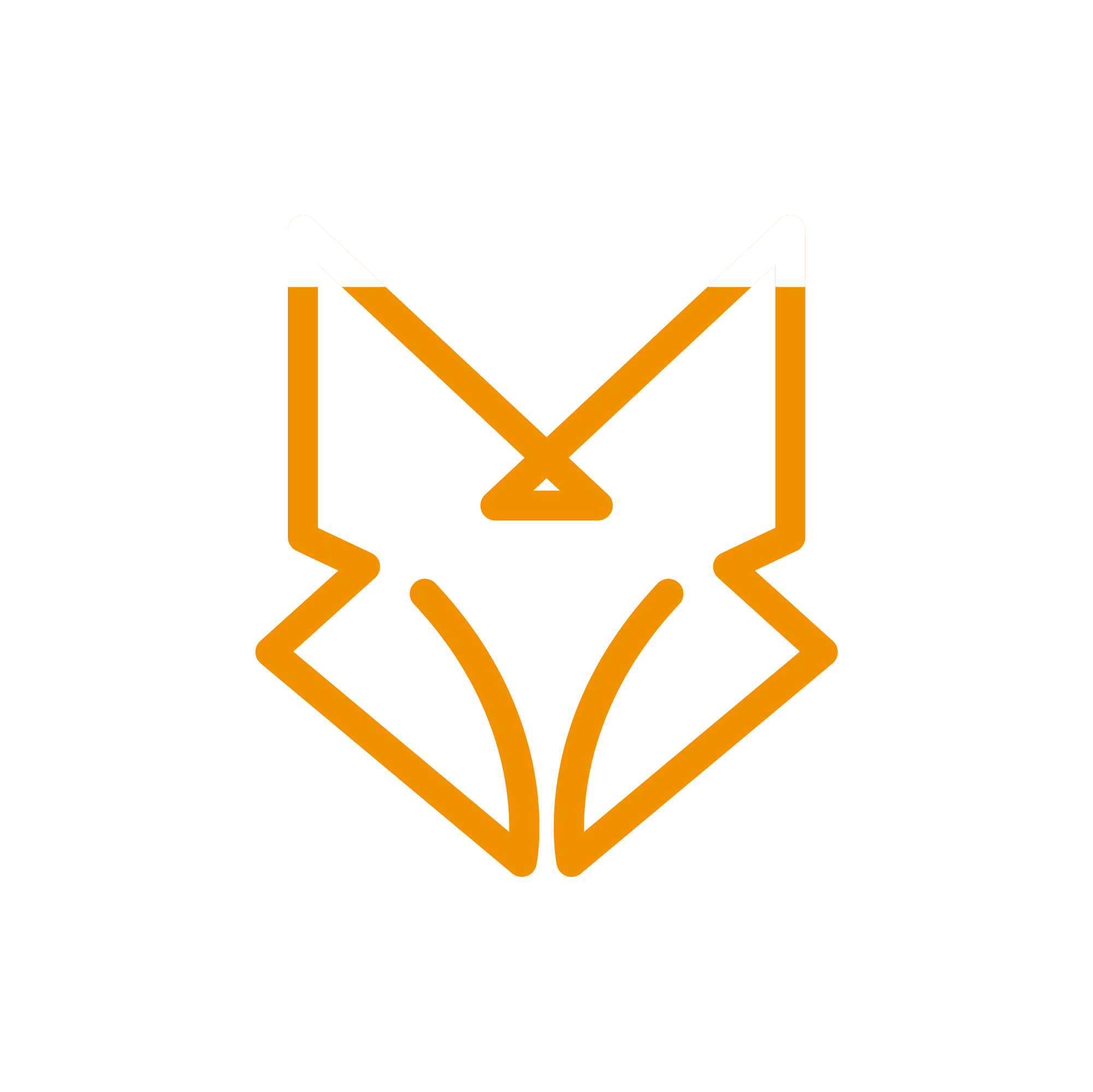 The Blossom Grace PhoTAYbooth Fox logo