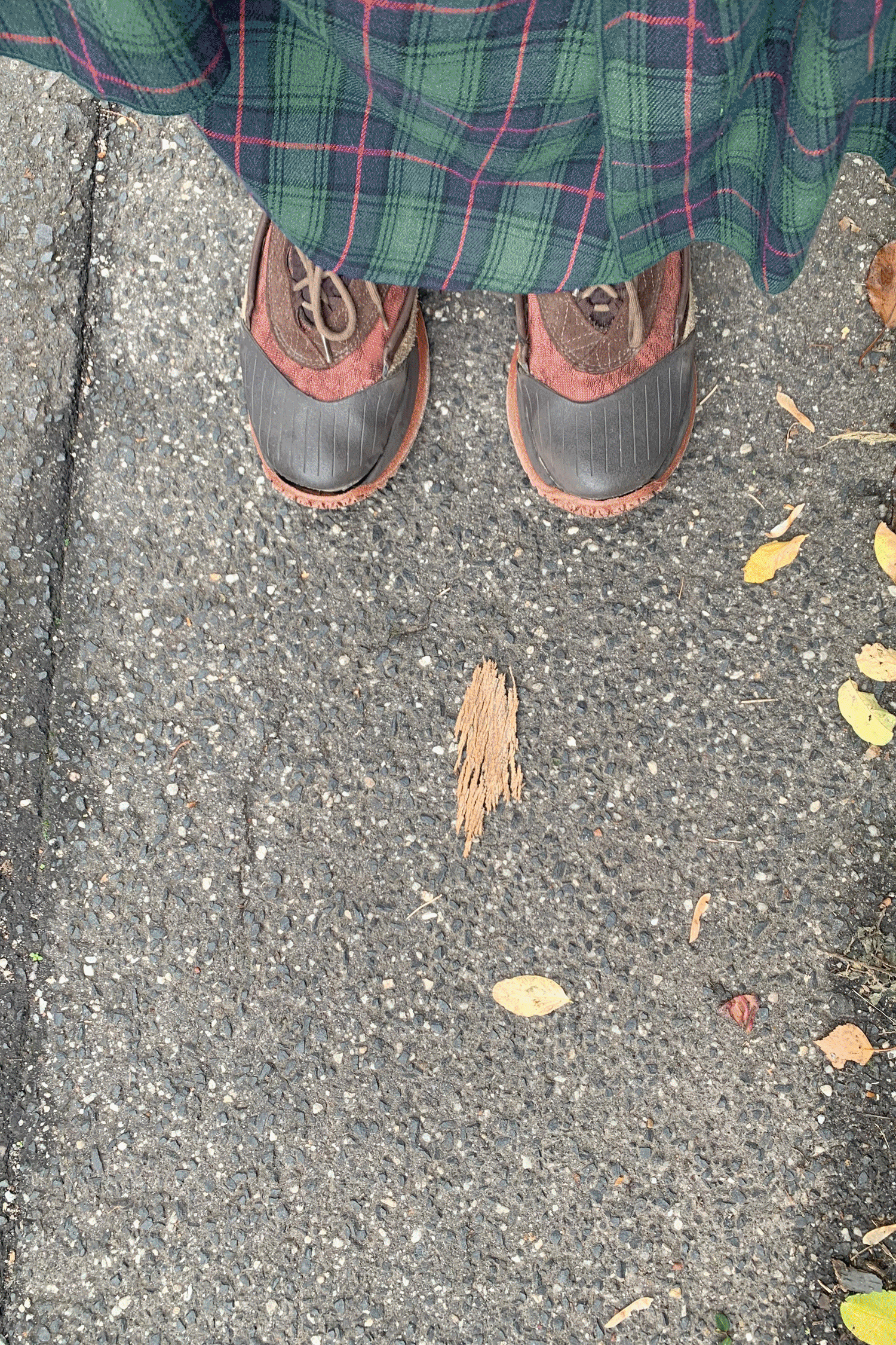 Figure 1.4: Emma Byrnes, Sensory Snapshot, 2026, Animated gif of photos of shoes.