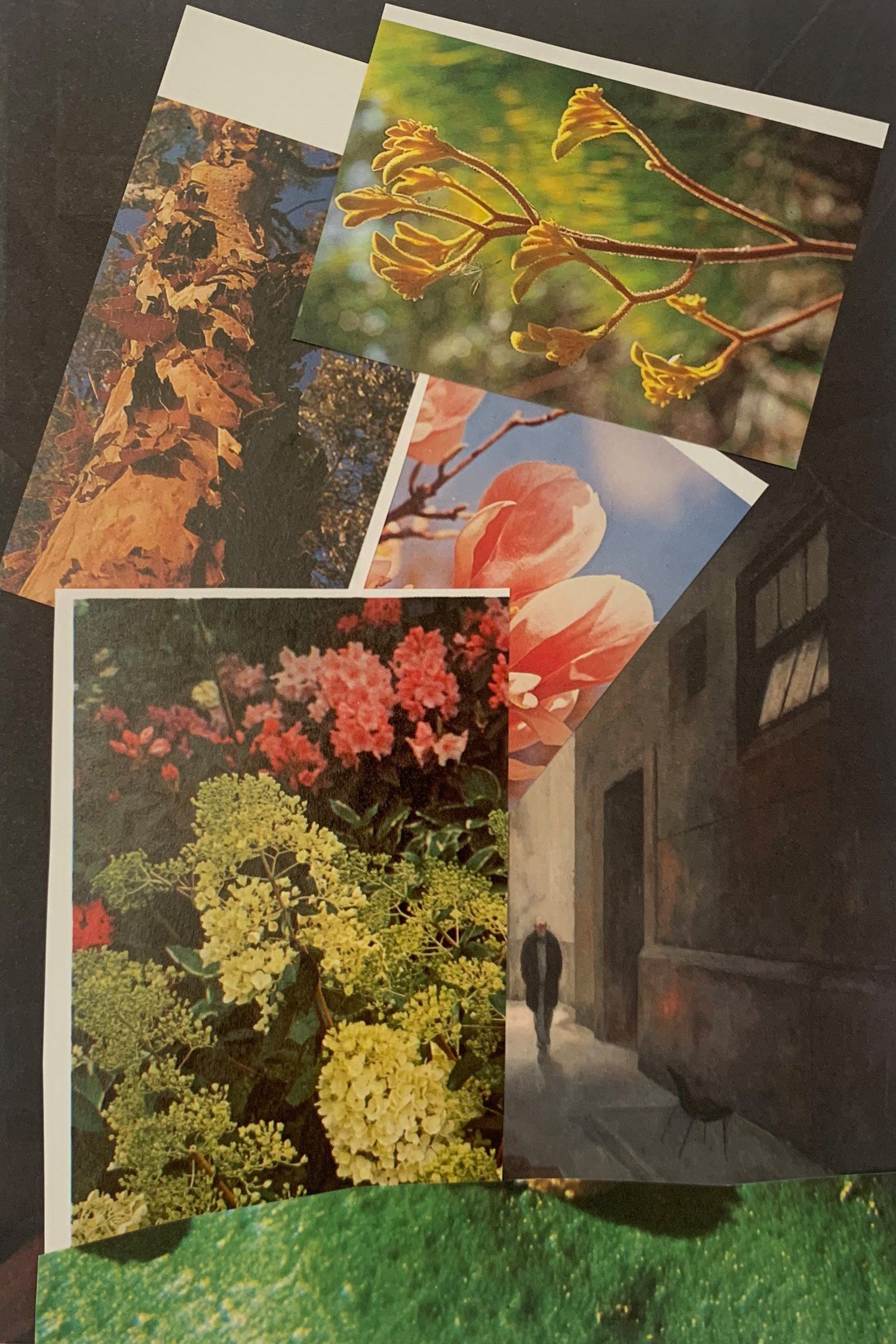 Figure 1.2: Emma Byrnes, to-and-from, 2026, Still photo of collage.