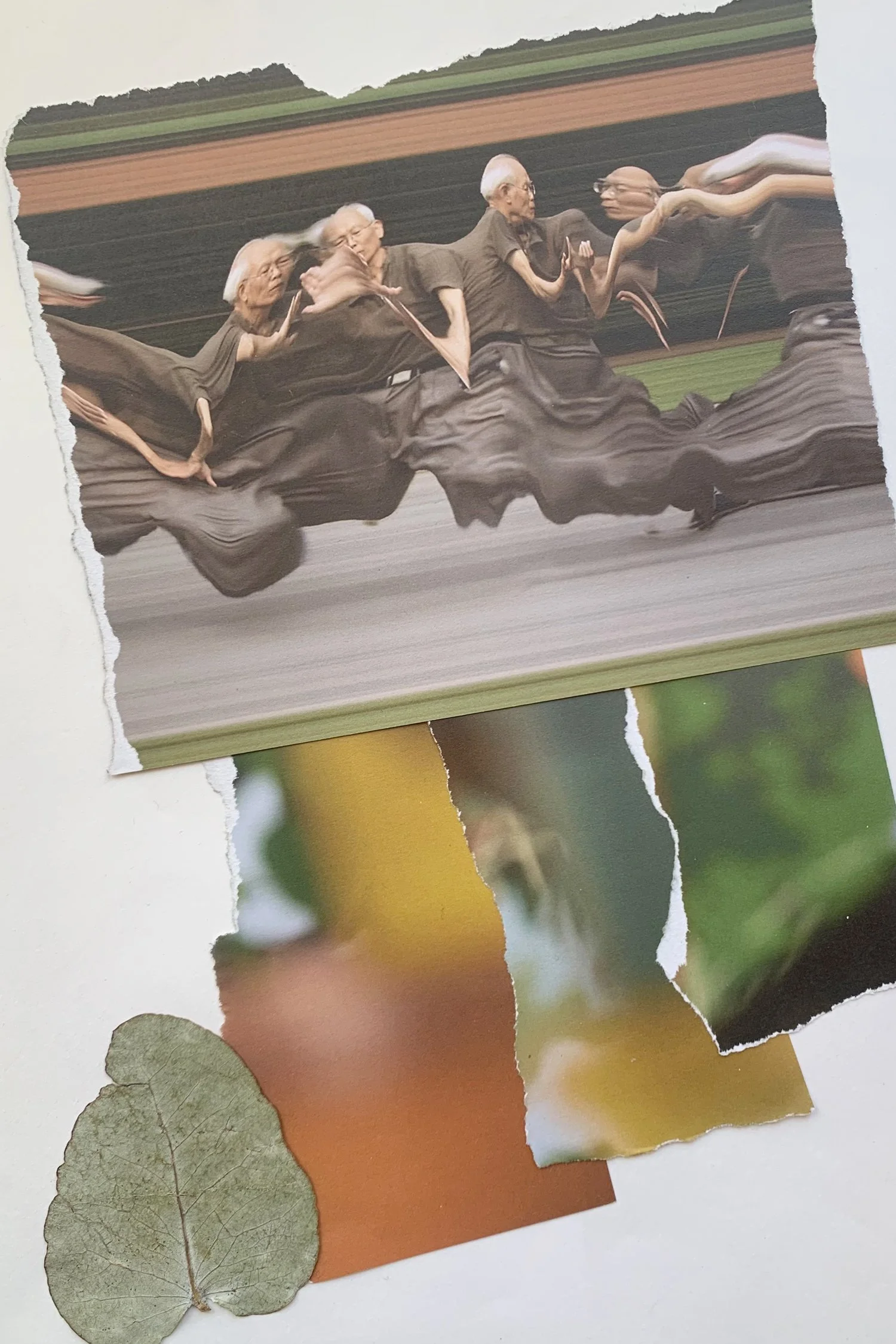 Figure 1.1: Emma Byrnes, Moving slowly, 2026. Still photo of collage.