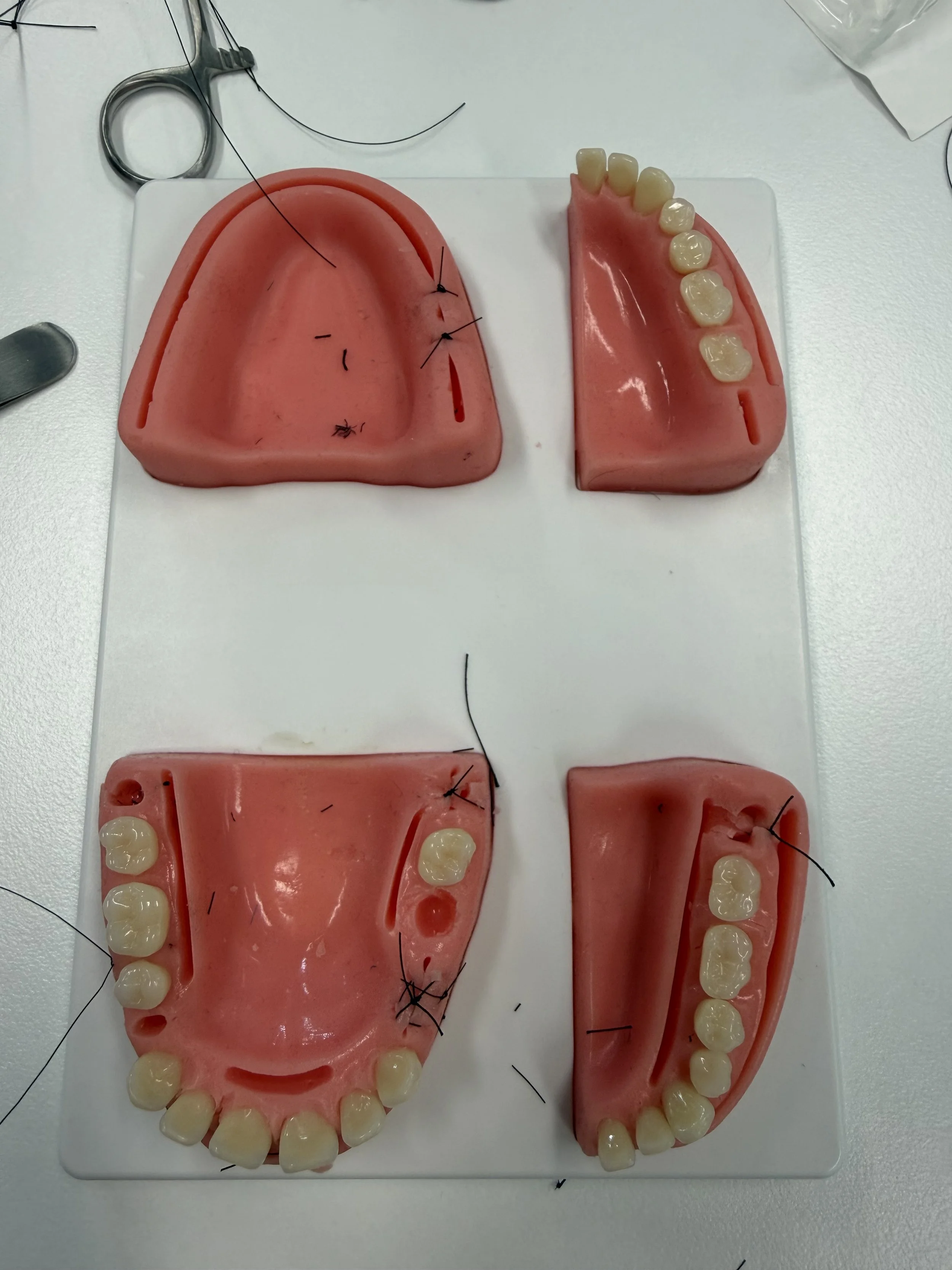 Jeffrey Xu dental school suturing
