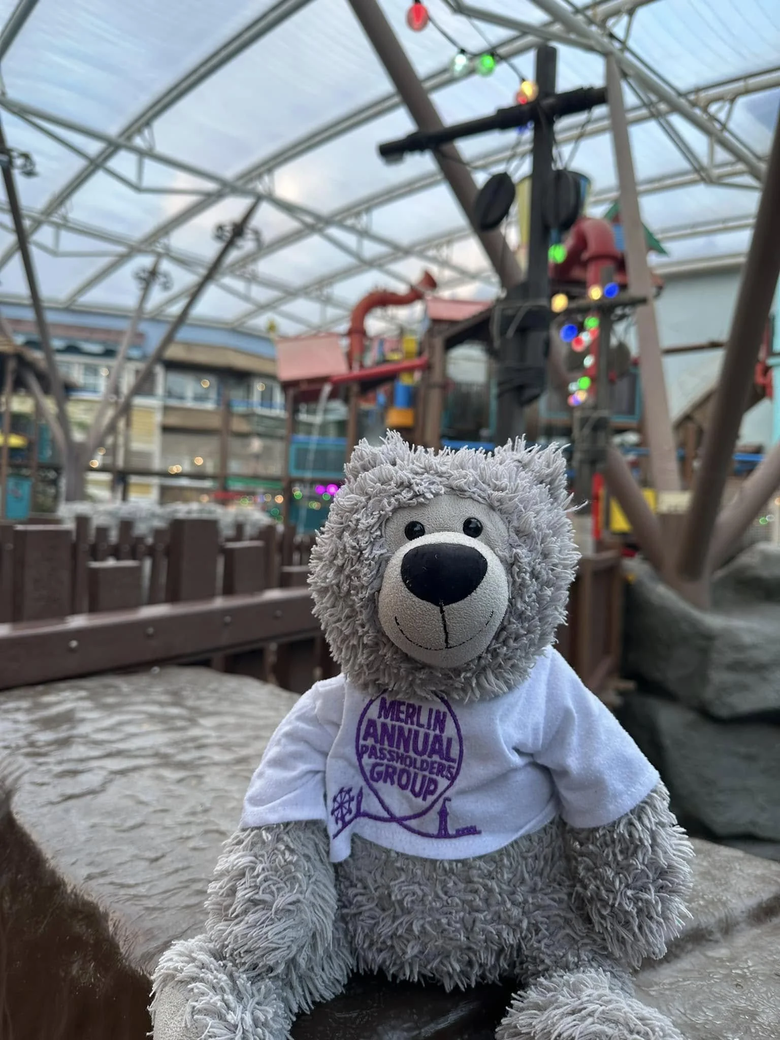 Mappy Bear - Community