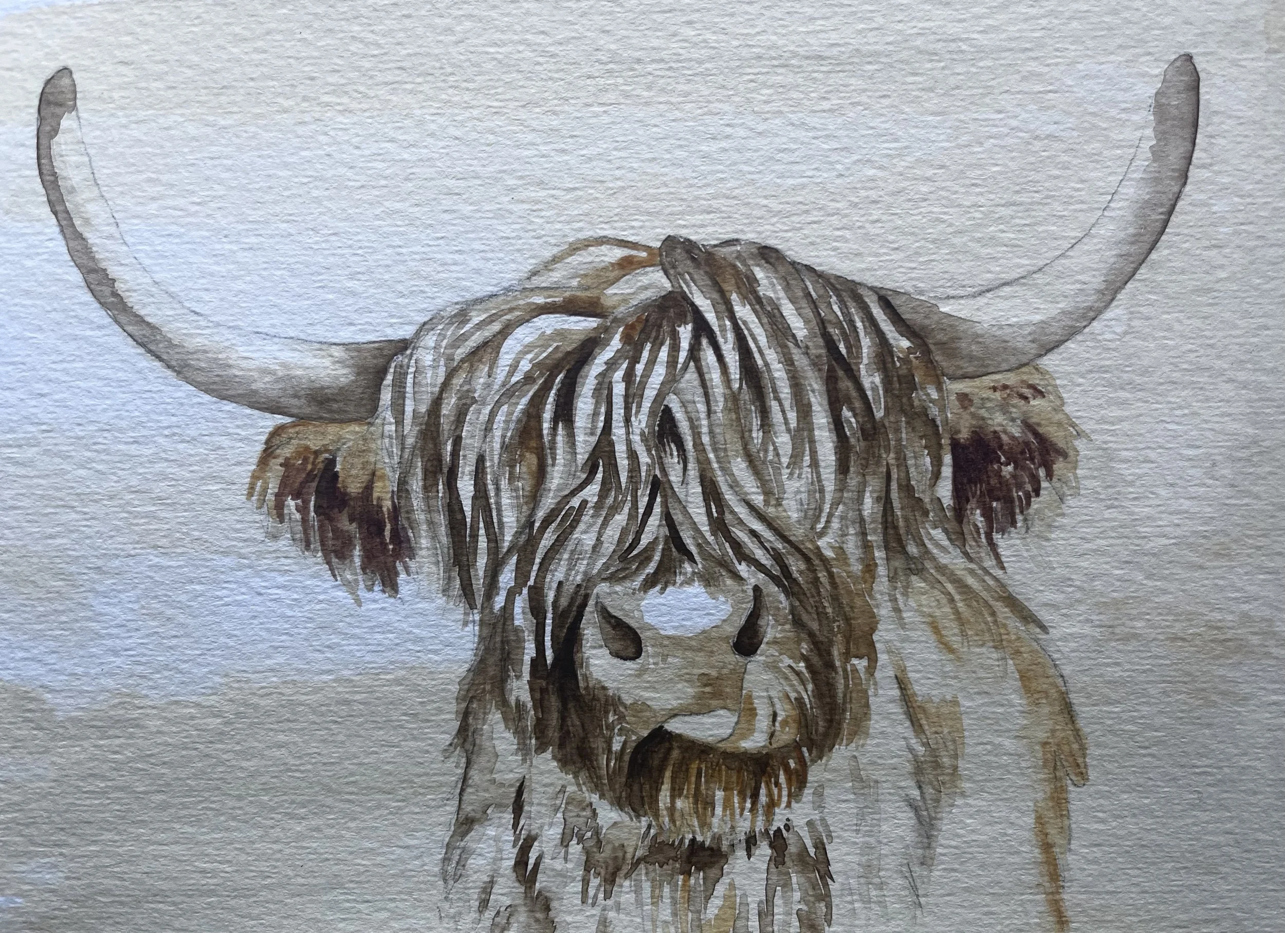 highland cow watercolour sepia paint