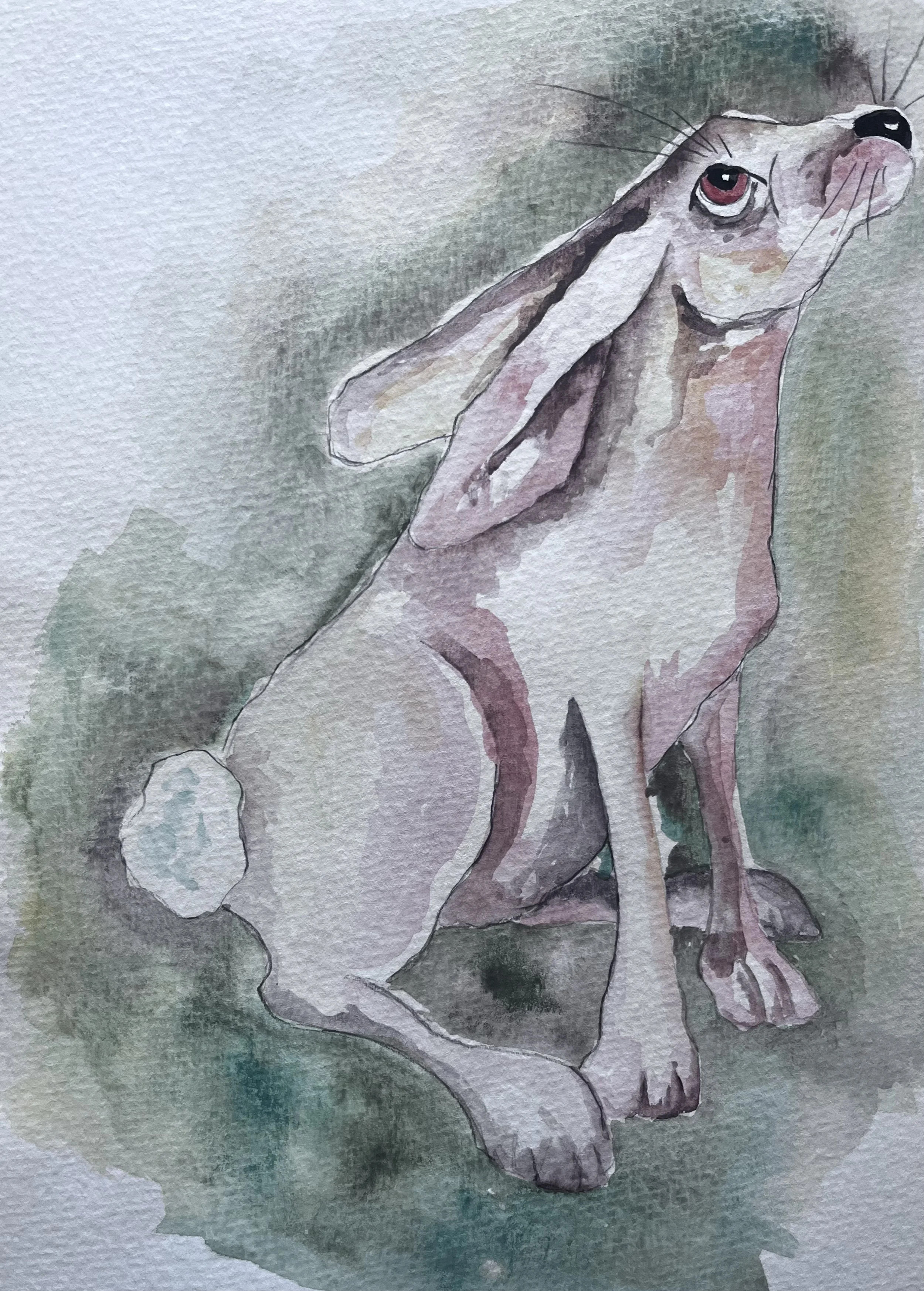 Watercolor painting of a hare sitting on a rock, looking upward with a greenish background.