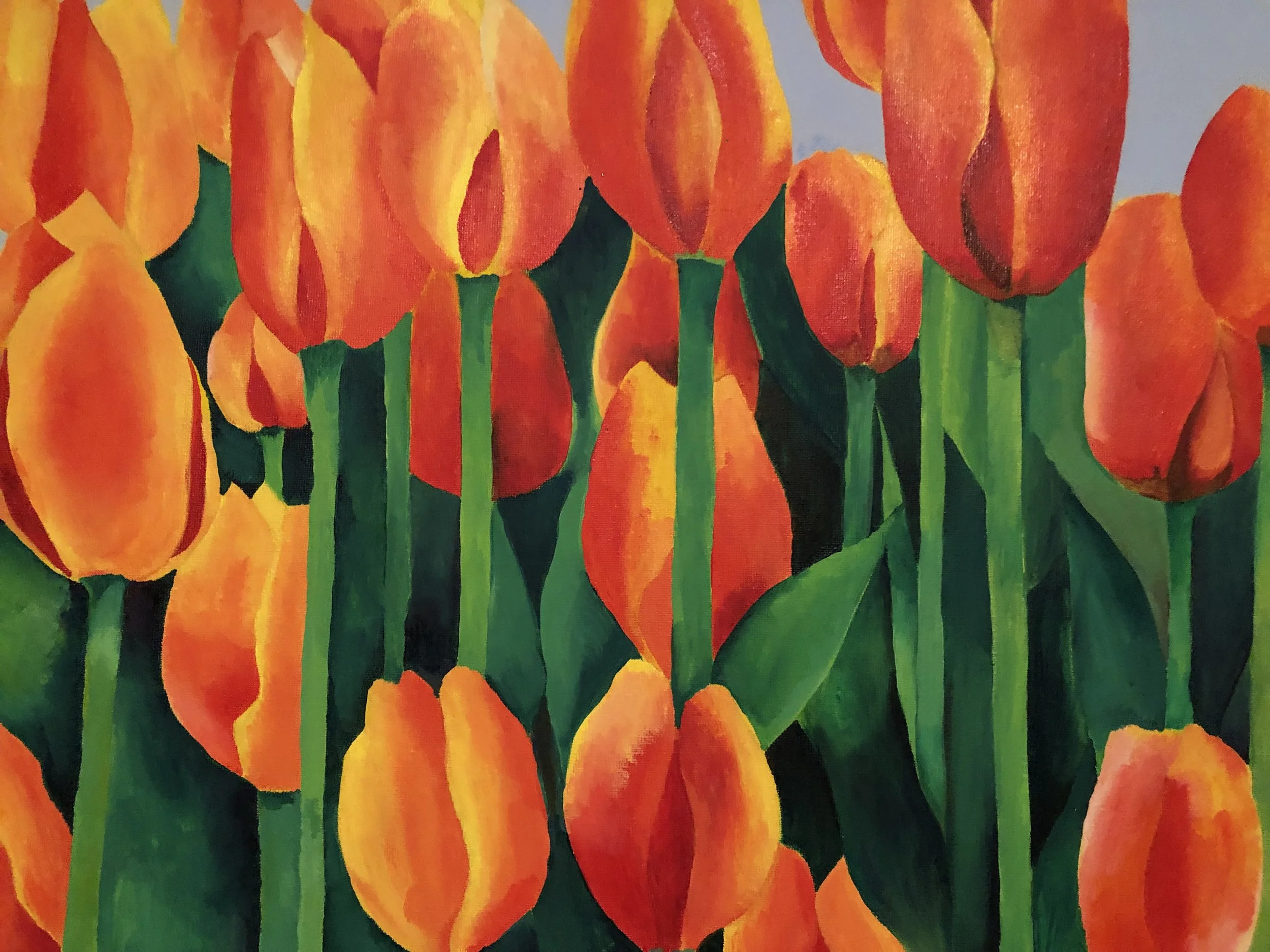 Bright orange tulips with green stems against a blue background.