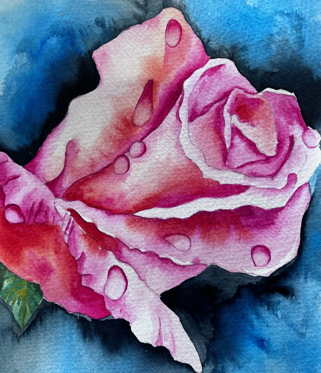 pink rose in watercolour on paper