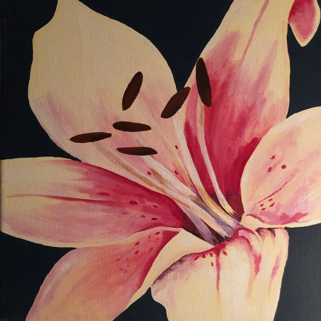 A close-up acrylic painting of a pink lily flower with dark stamens on a black background.