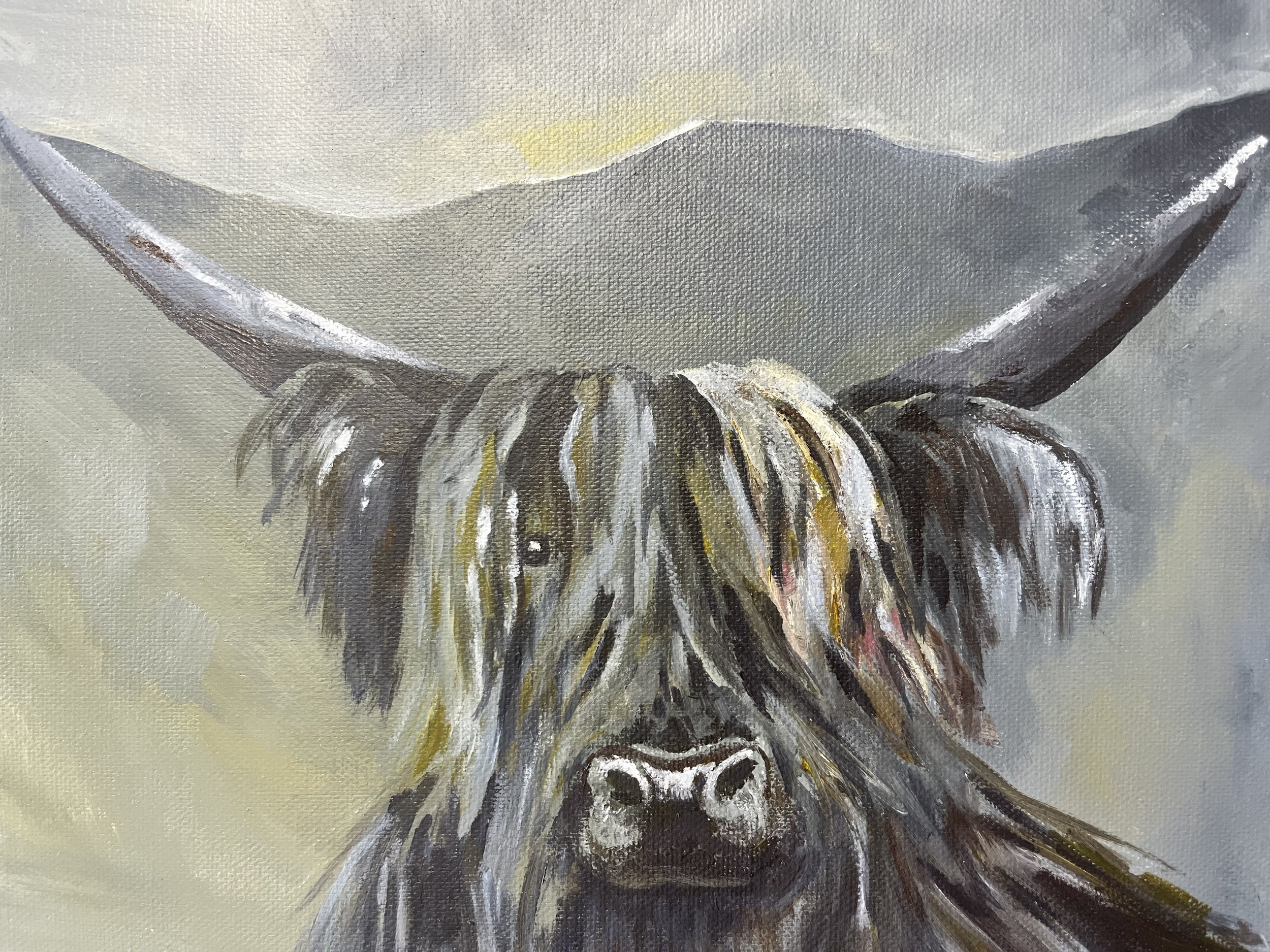 Highland Coo in acrylic on canvas, wall art