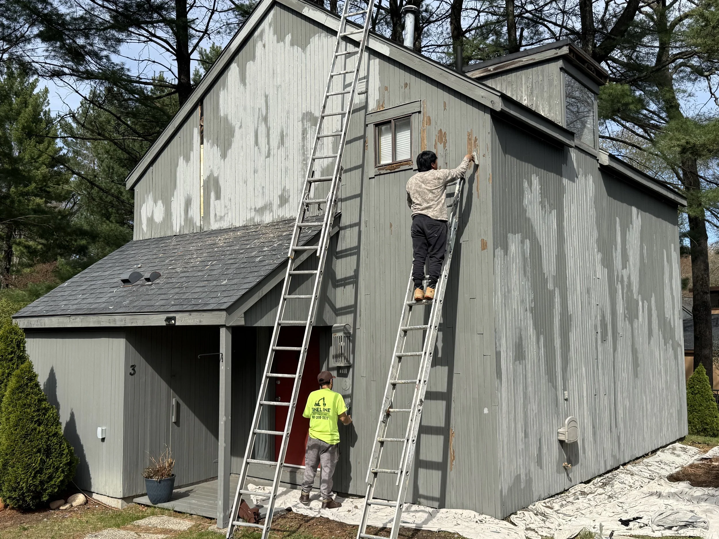 Workers repairing or painting the exterior of a gray house with vertical siding, using ladders, in a wooded area.