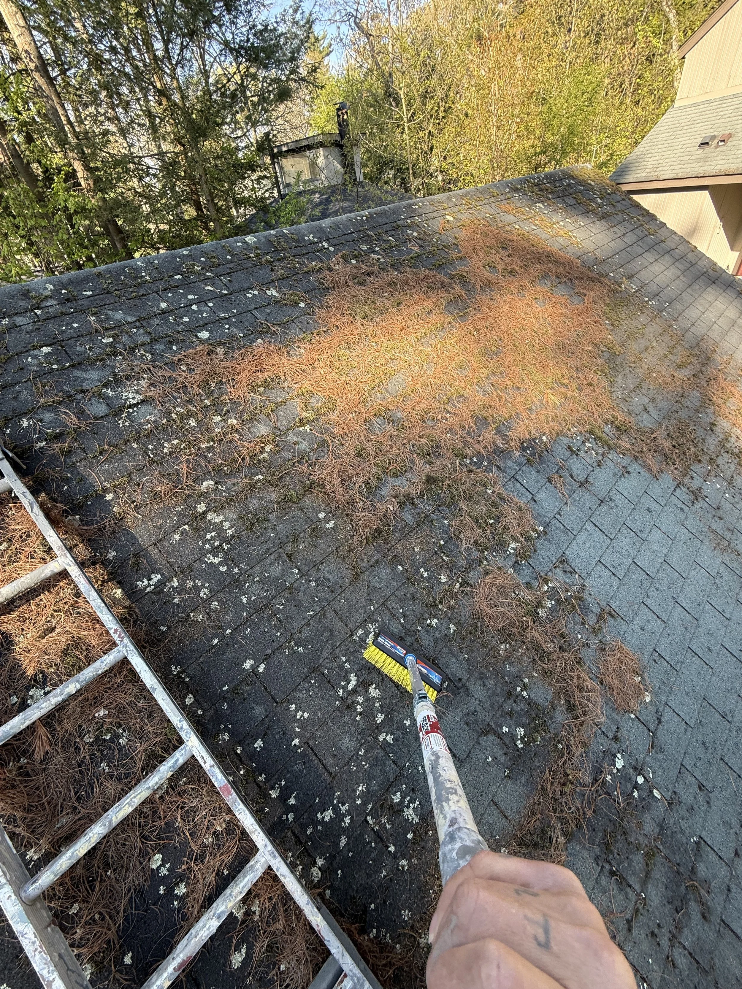 Person using a power washer to clean a moss and dirt-covered rooftop, with a ladder and trees in the background.