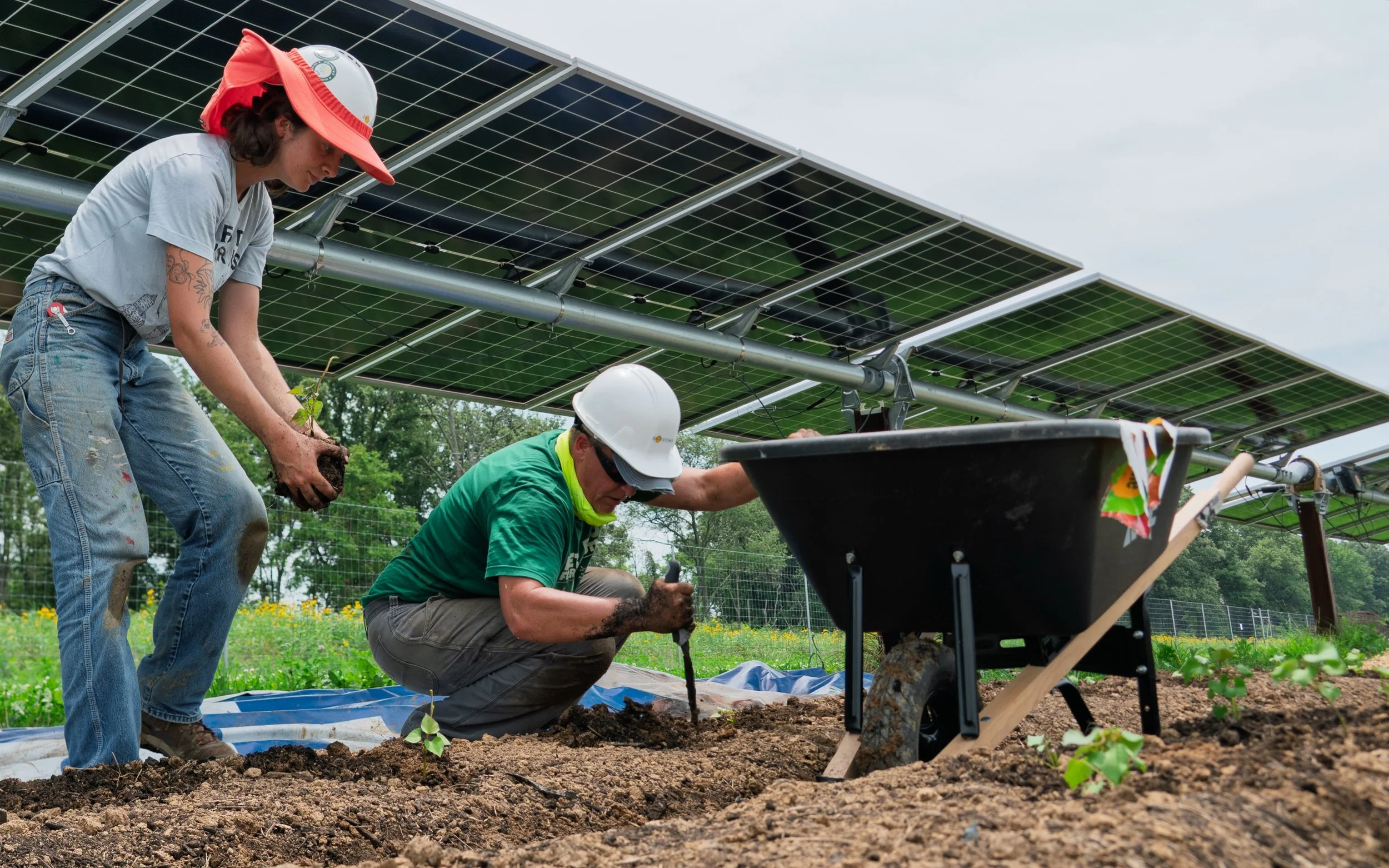 What a year it&rsquo;s been at Sol Farm! Together with Sol Systems, we brought our very first agrivoltaic site to life, harvested crops and herbs within the solar array, nourished our neighbors through community events and Rx boxes, and even welcomed