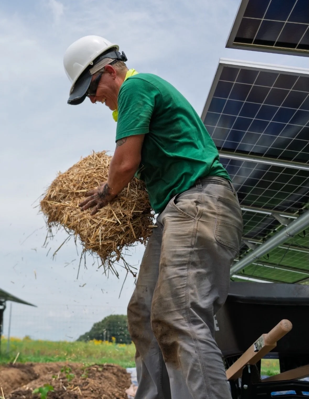 Food Works is thrilled to shine a light on Rae, our Agrivoltaic Farm Assistant at Sol Farm. 

Born and raised in Illinois, Rae has spent years blending organic agriculture, community gardening, and renewable energy; experience that comes through in e