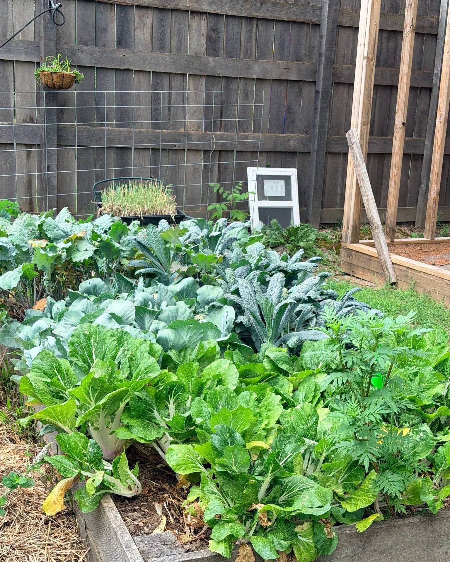 We&rsquo;re thrilled to have HEALing SoIL HERBan Garden on this year&rsquo;s farm crawl! They are a community sanctuary founded by Quianya L. Enge, that  uses regenerative growing practices to cultivate wellness, personal restoration, and local resil
