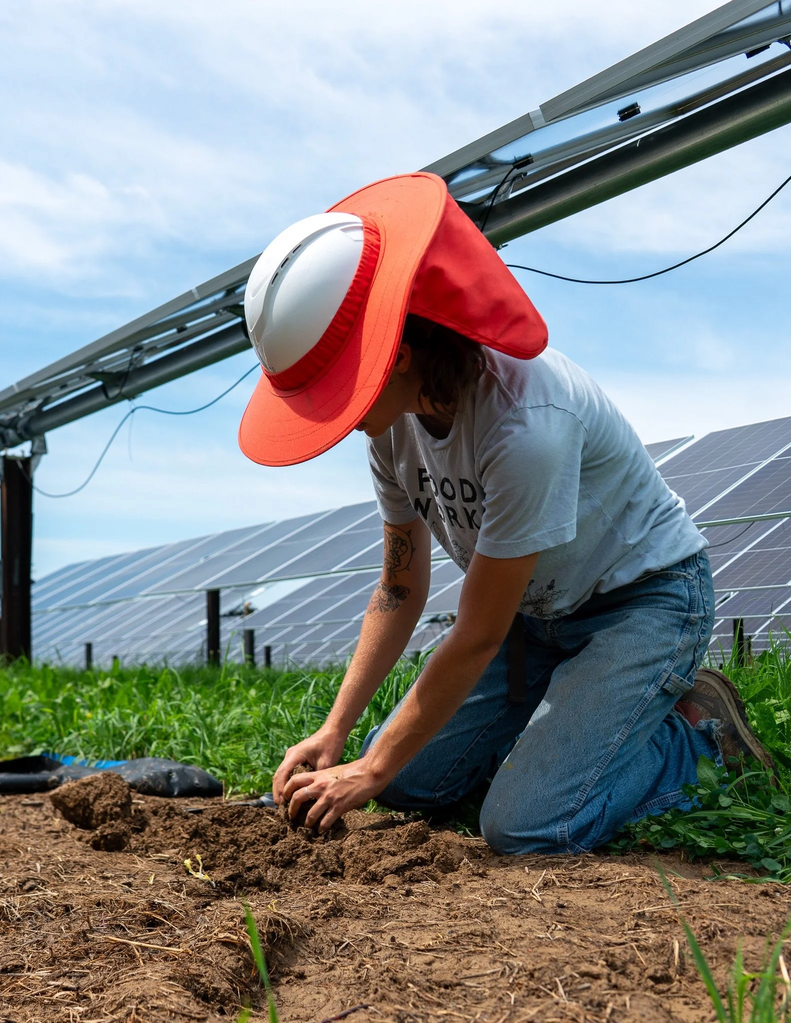We&rsquo;re excited Food Works Sol Farm will be joining us on this year&rsquo;s Farm Crawl! Sol Farm serves as an innovative agricultural and educational site. It operates as a living model for agrivoltaics, integrating sustainable crop production di