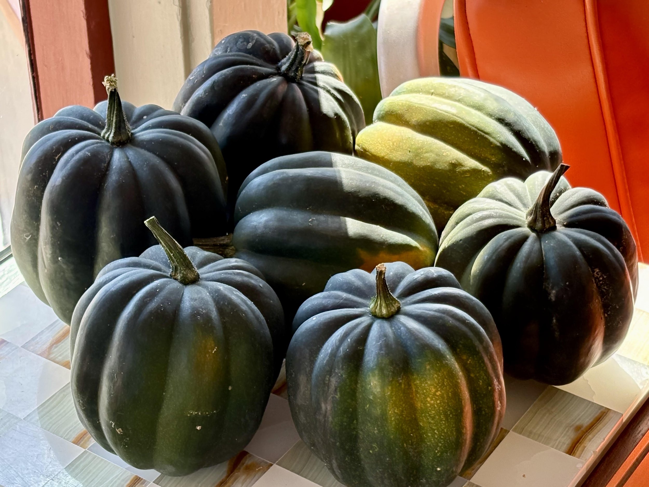 Cooking Demonstration: Acorn Squash