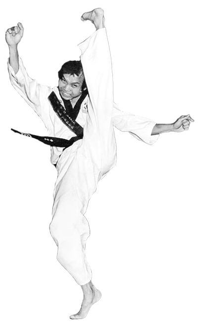 Grandmaster T K Loh (9th Dan)