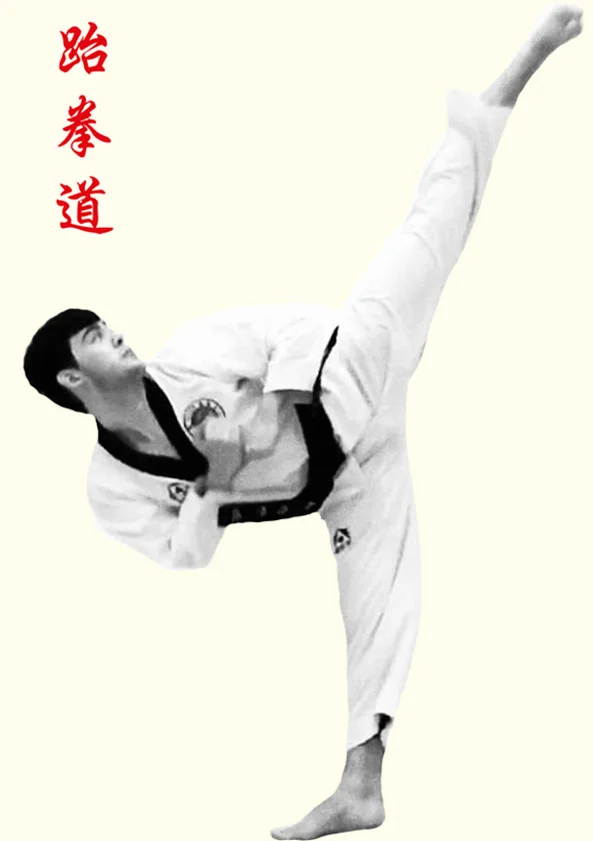 Instructor David Loh (5th Dan)