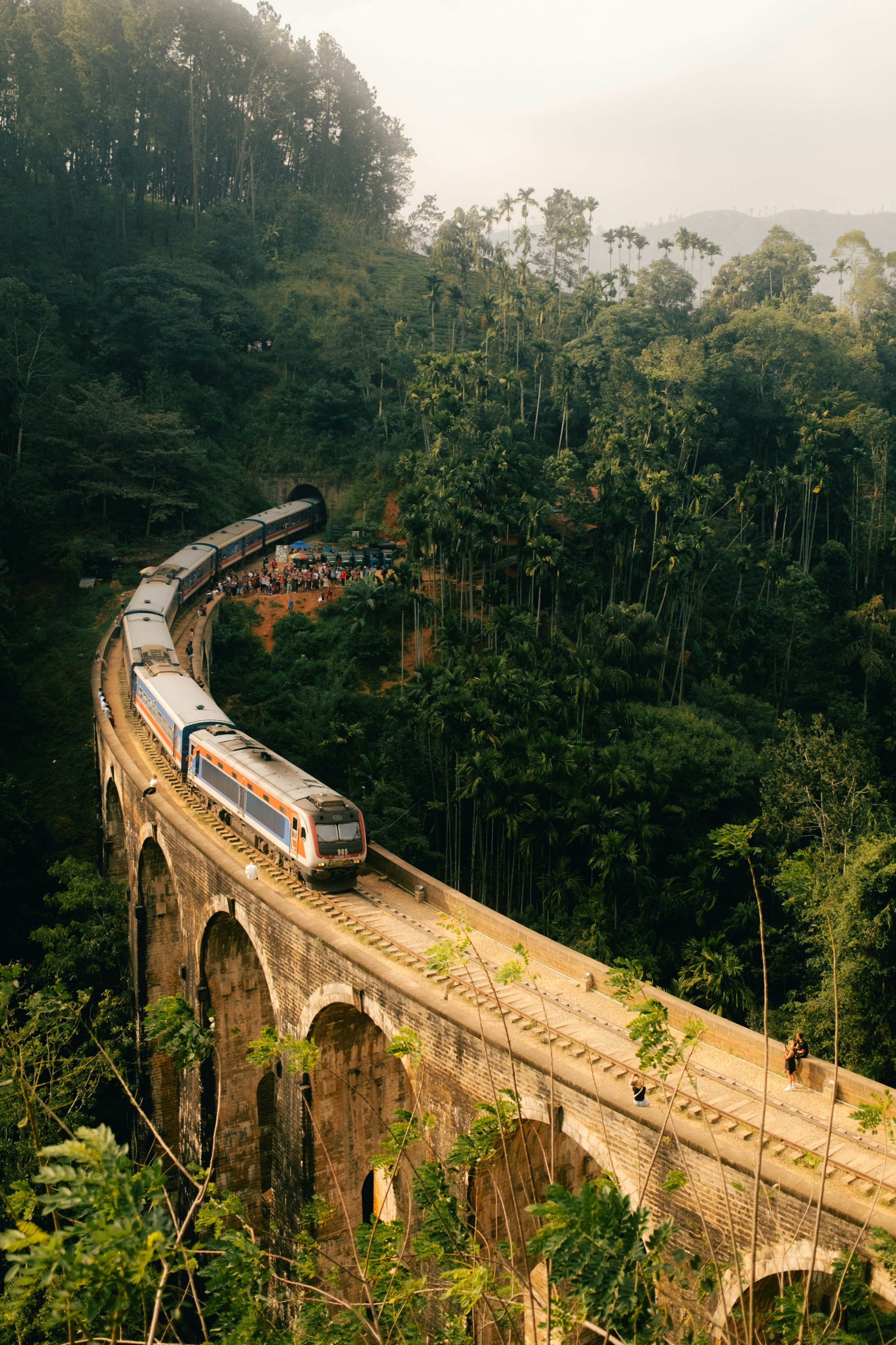 a train riding though a forest