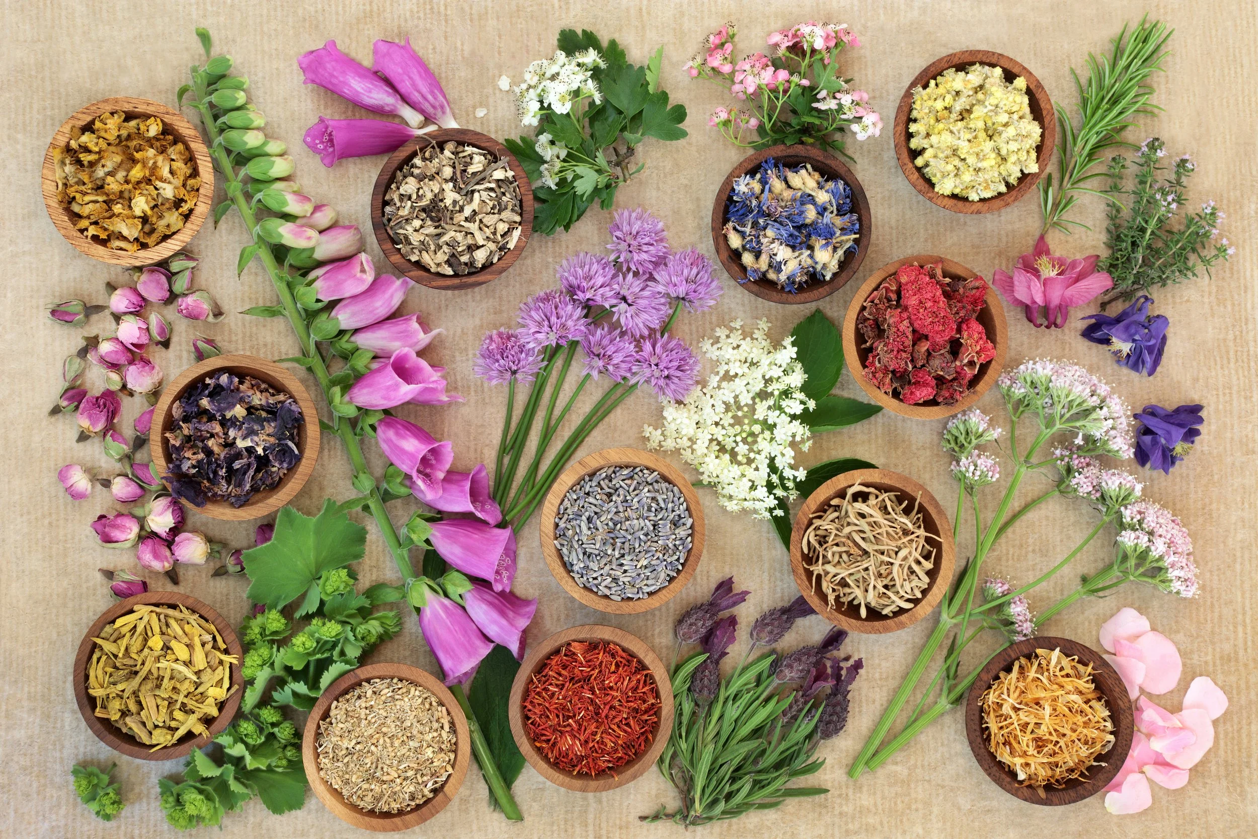 Various dried herbs and flowers arranged in small wooden bowls and scattered on a beige surface, including lavender, roses, chamomile, and other botanicals.