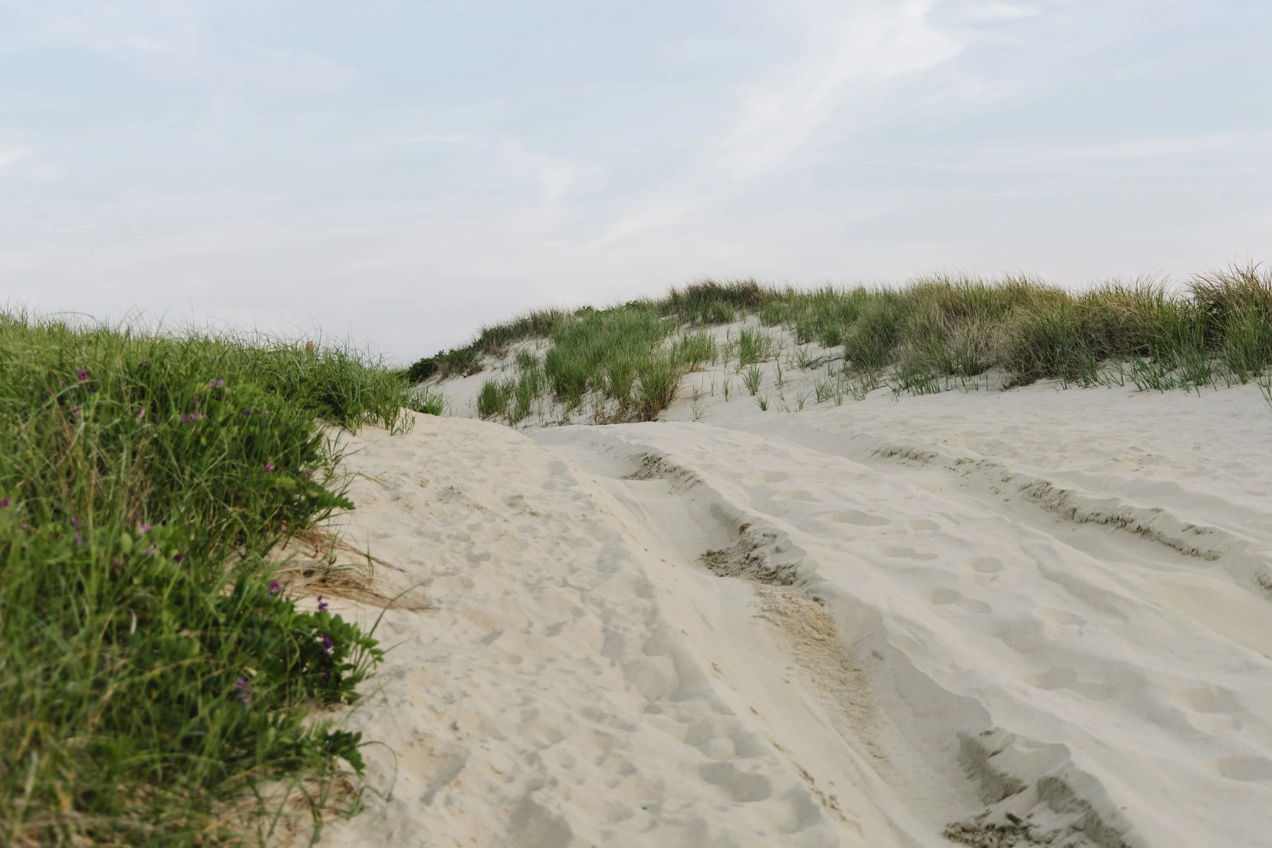 Sand dunes with tire tracks and patches of green grass and small purple flowers under a partly cloudy sky.