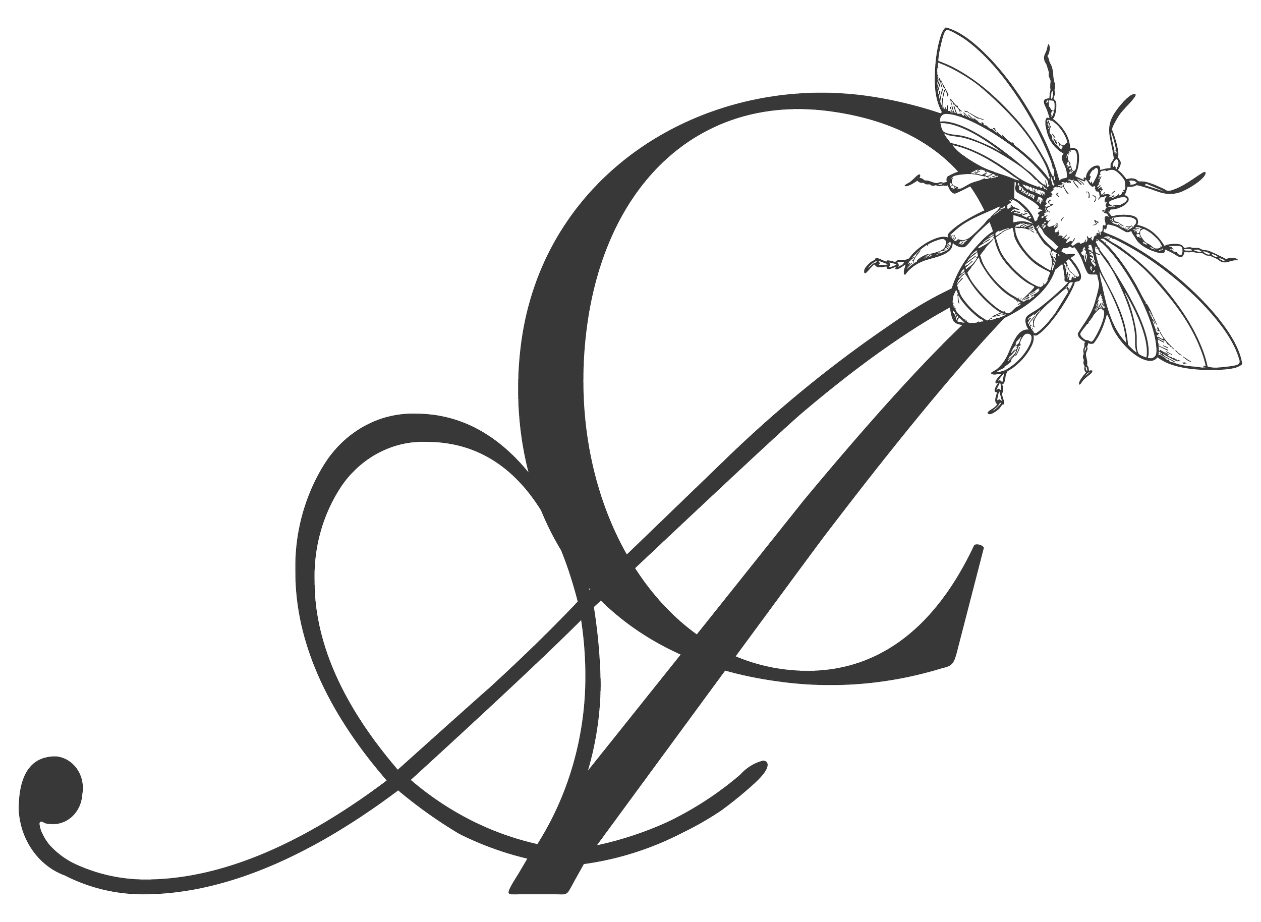 Black and white architectural line drawing of a bee on a swirl