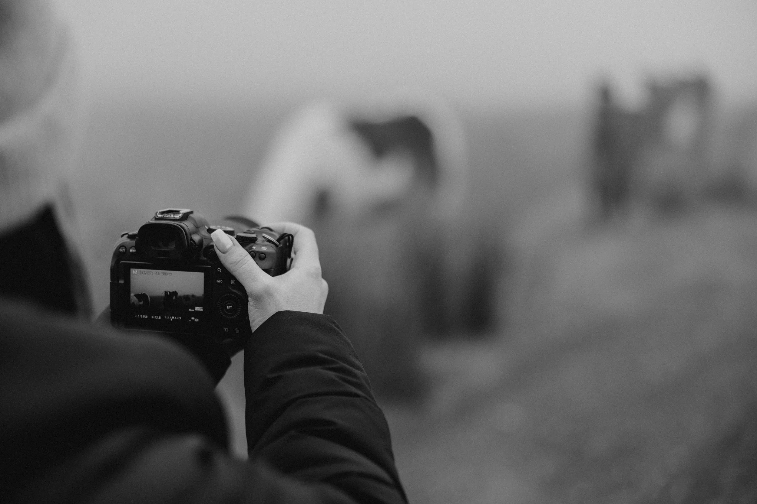 A person holding a camera, taking a photo, with blurred figures in the background.