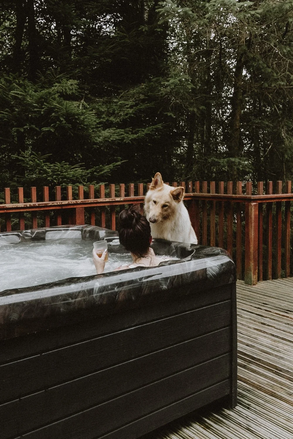Person relaxing in a hot tub on a deck, holding a glass with a drink, while an alert dog watches them from outside the hot tub, surrounded by a forest in the background.