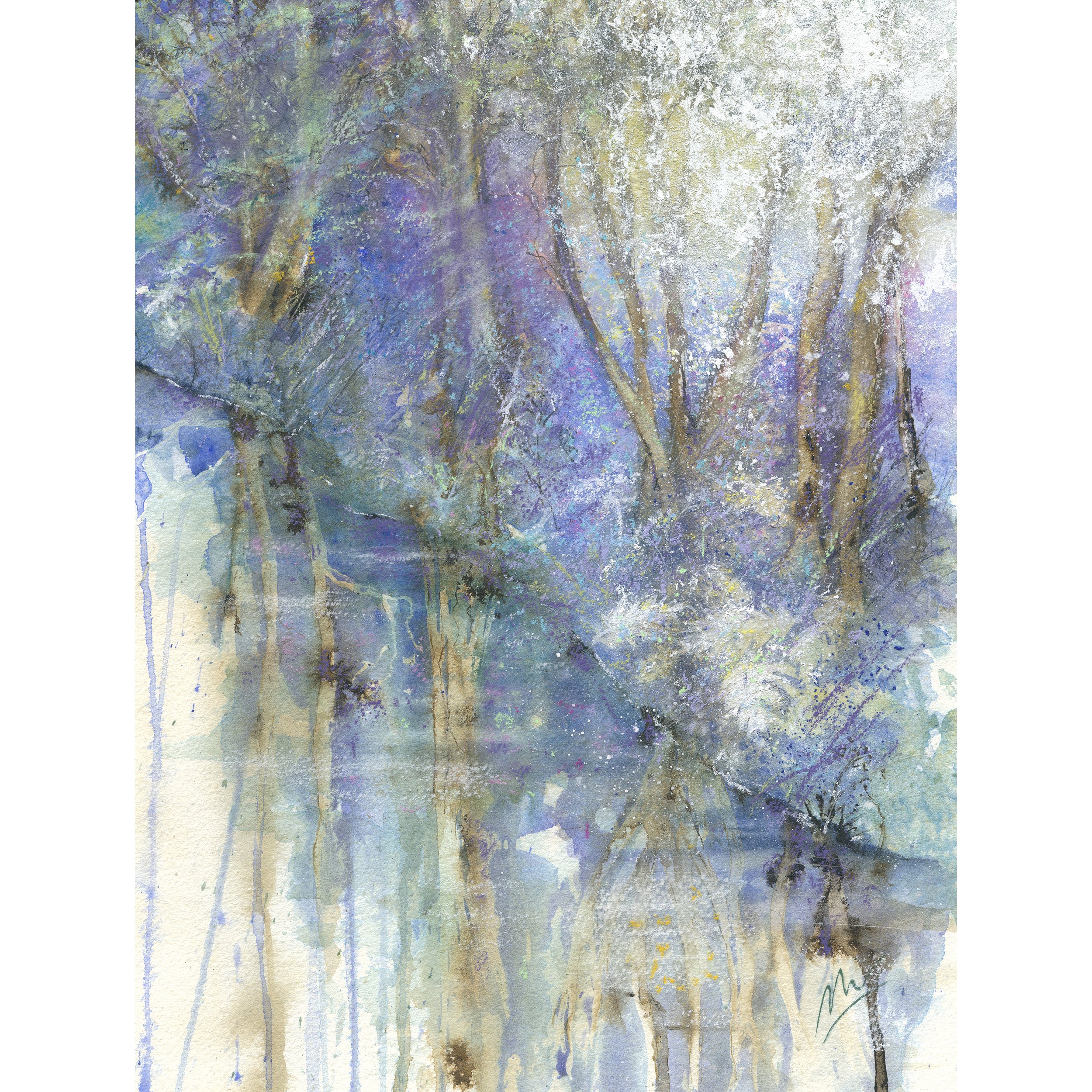 Banks and Bluebells