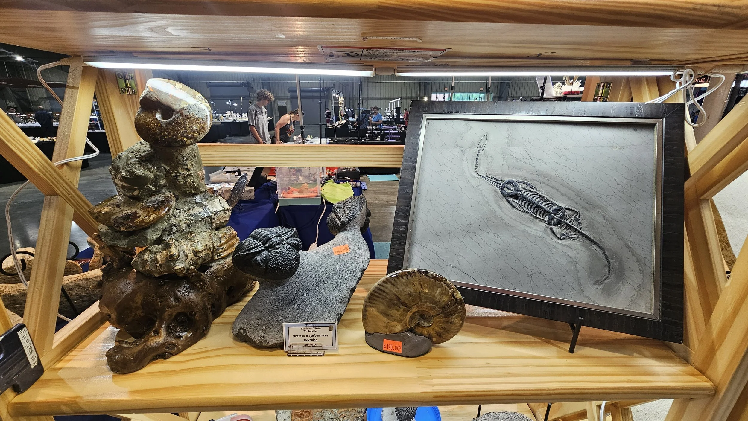 Display of fossilized trilobite and other minerals in a wooden frame at a market or exhibition.