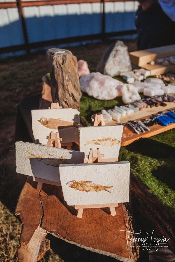 Display of artwork featuring small canvases with fish paintings, set on miniature easels, at an outdoor market with rocks and various items in the background.