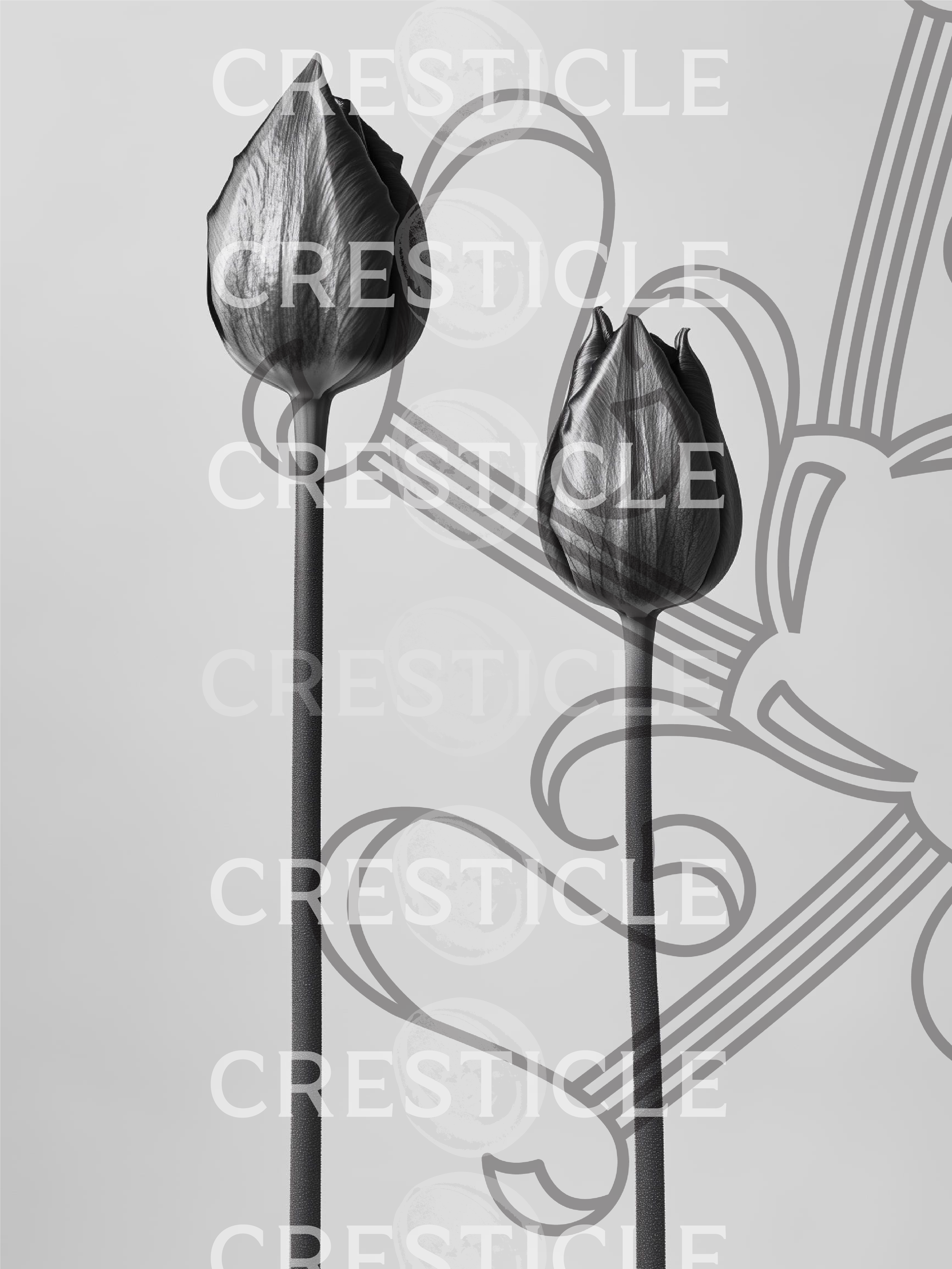 Asset 94.png