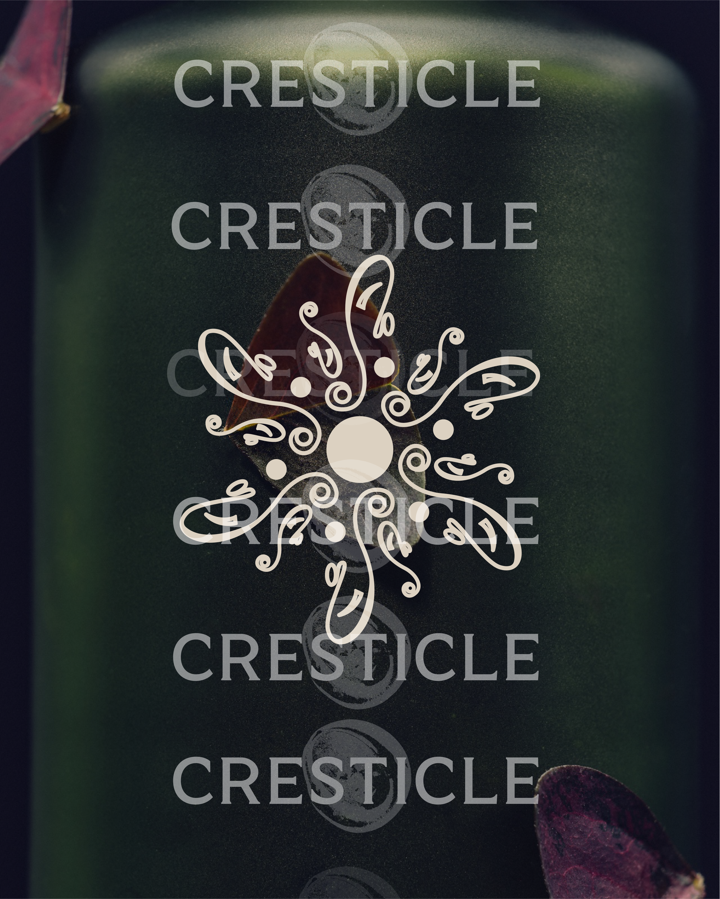 Asset 57.png
