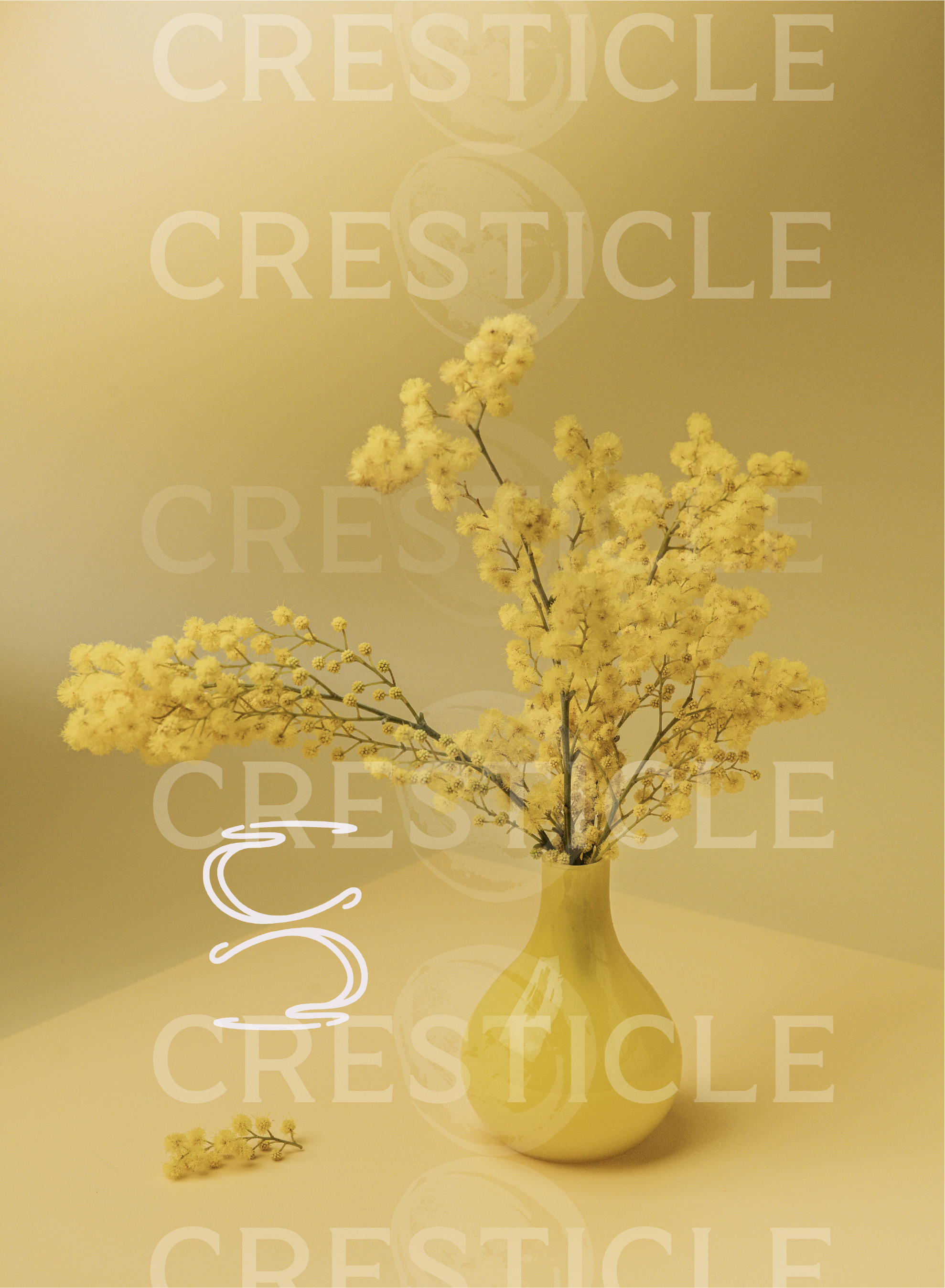 Asset 5.png
