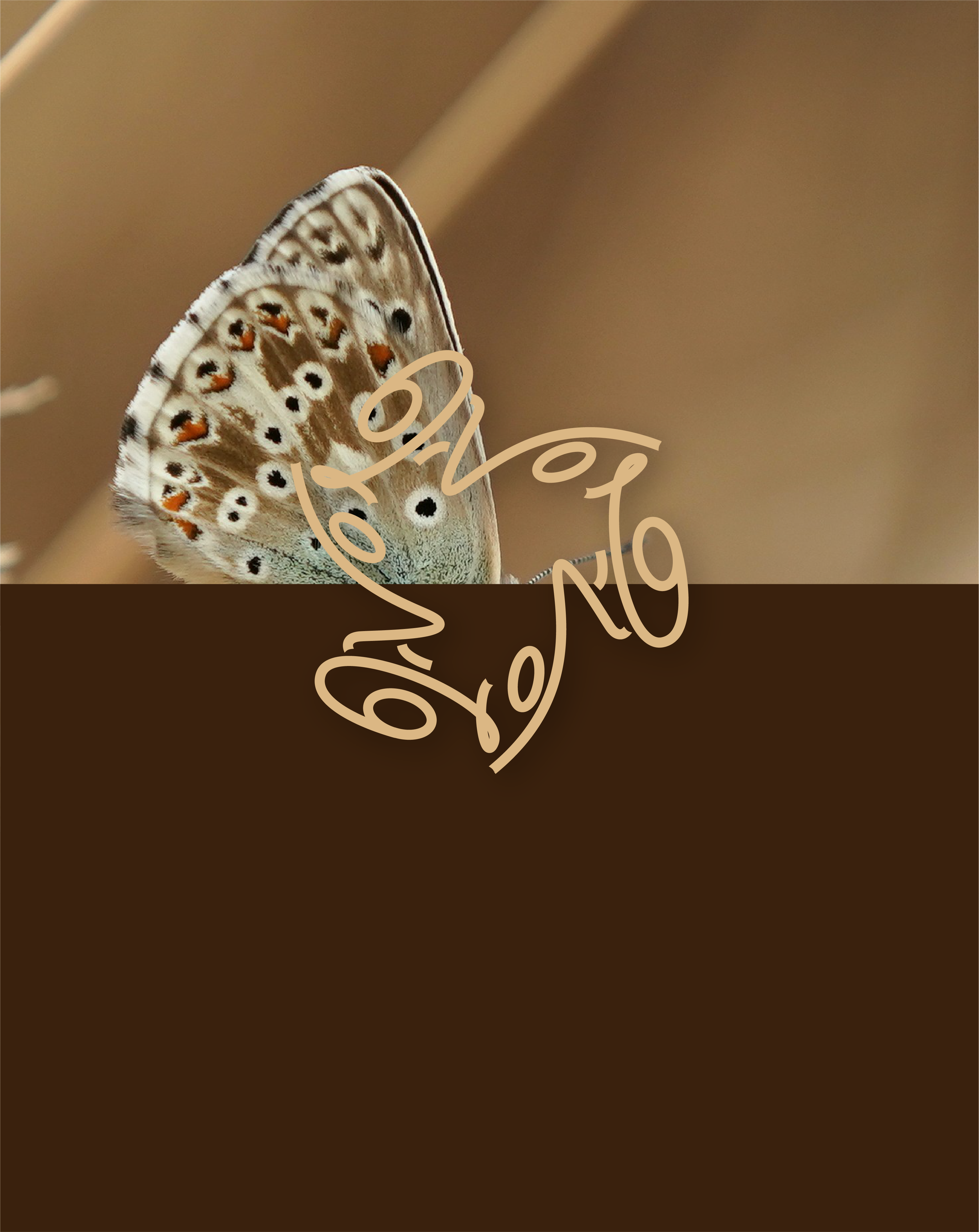 Asset 28.png