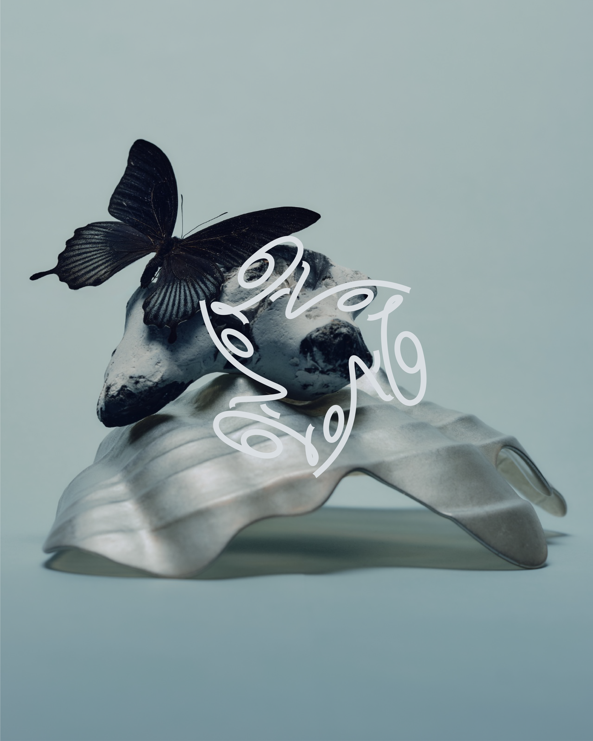 Th Papilora