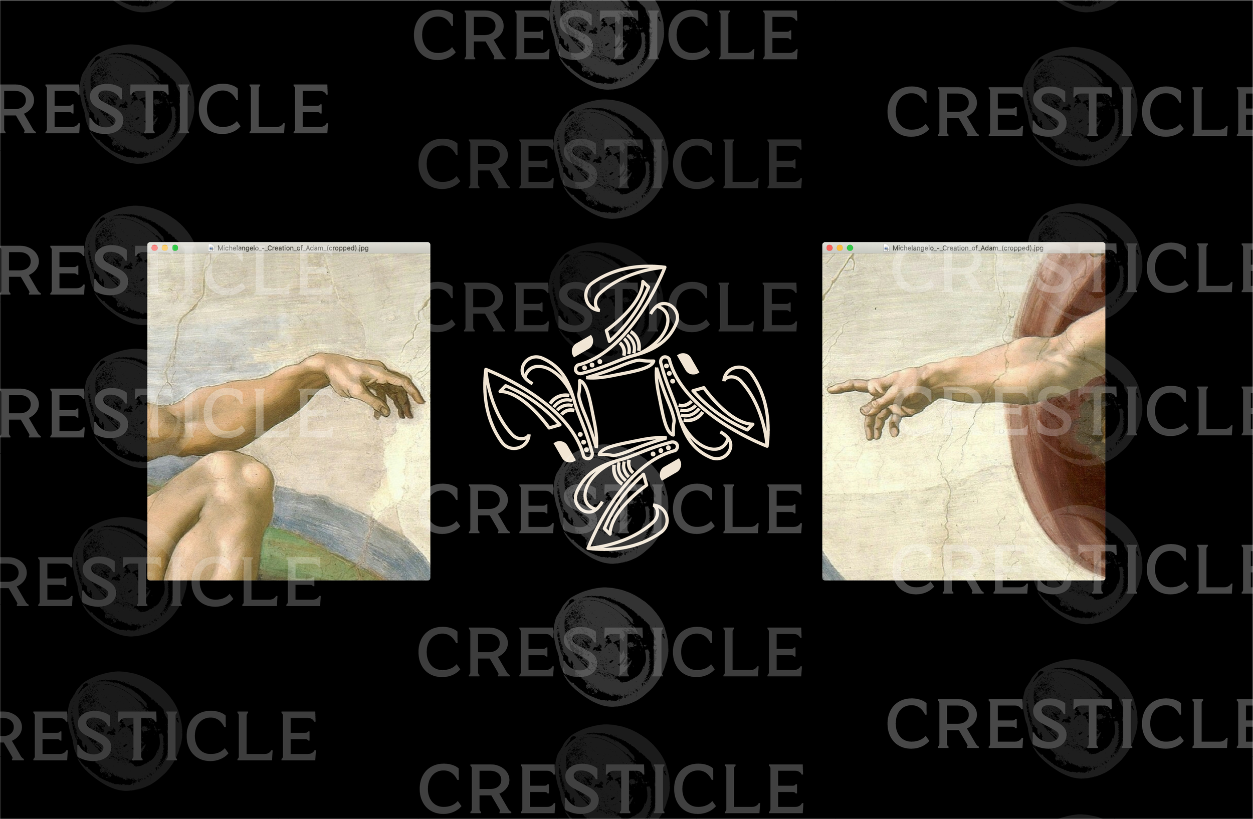 Asset 1.png