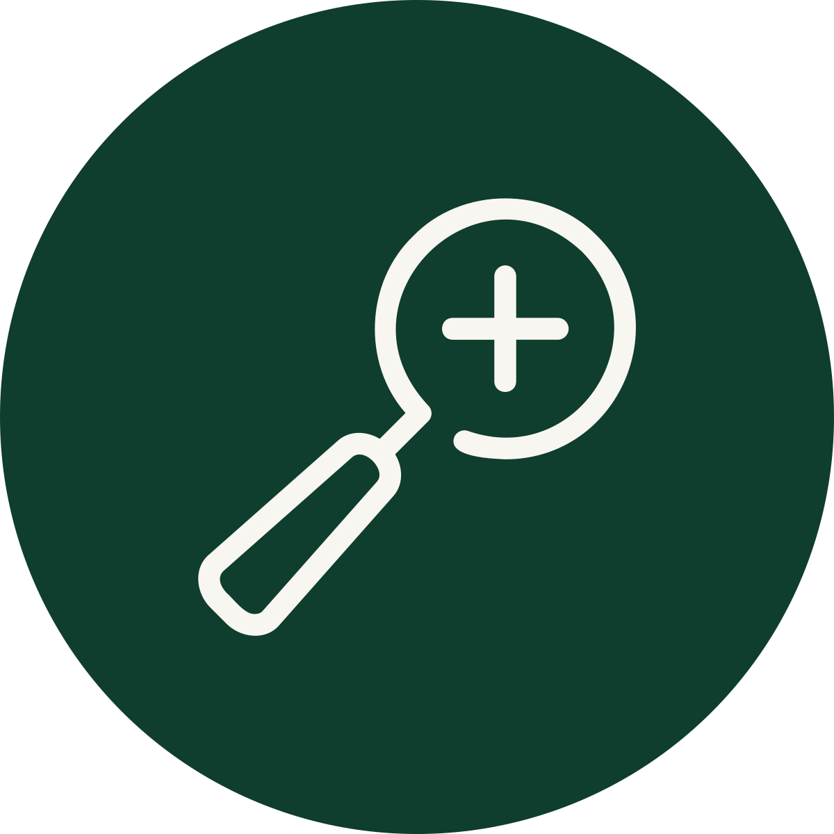 Icon of a magnifying glass with a plus sign inside, indicating zoom in or search enhancement.