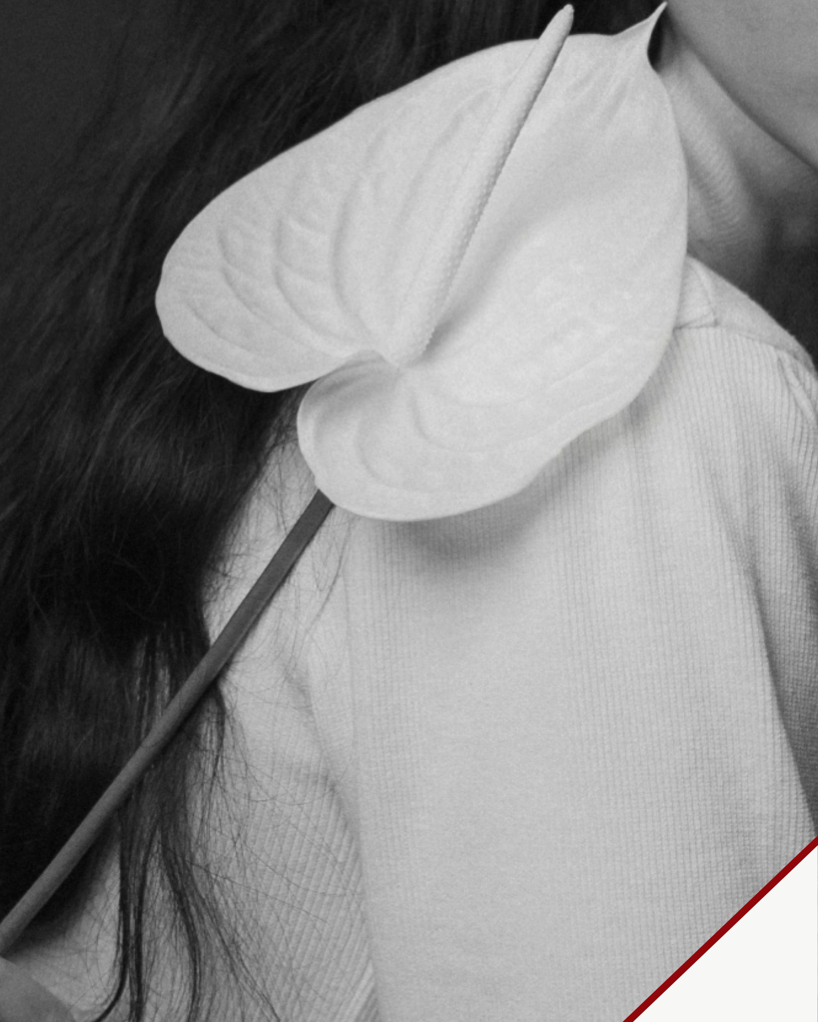 Explore Style — black-and-white close-up of a white anthurium against a model’s shoulder.