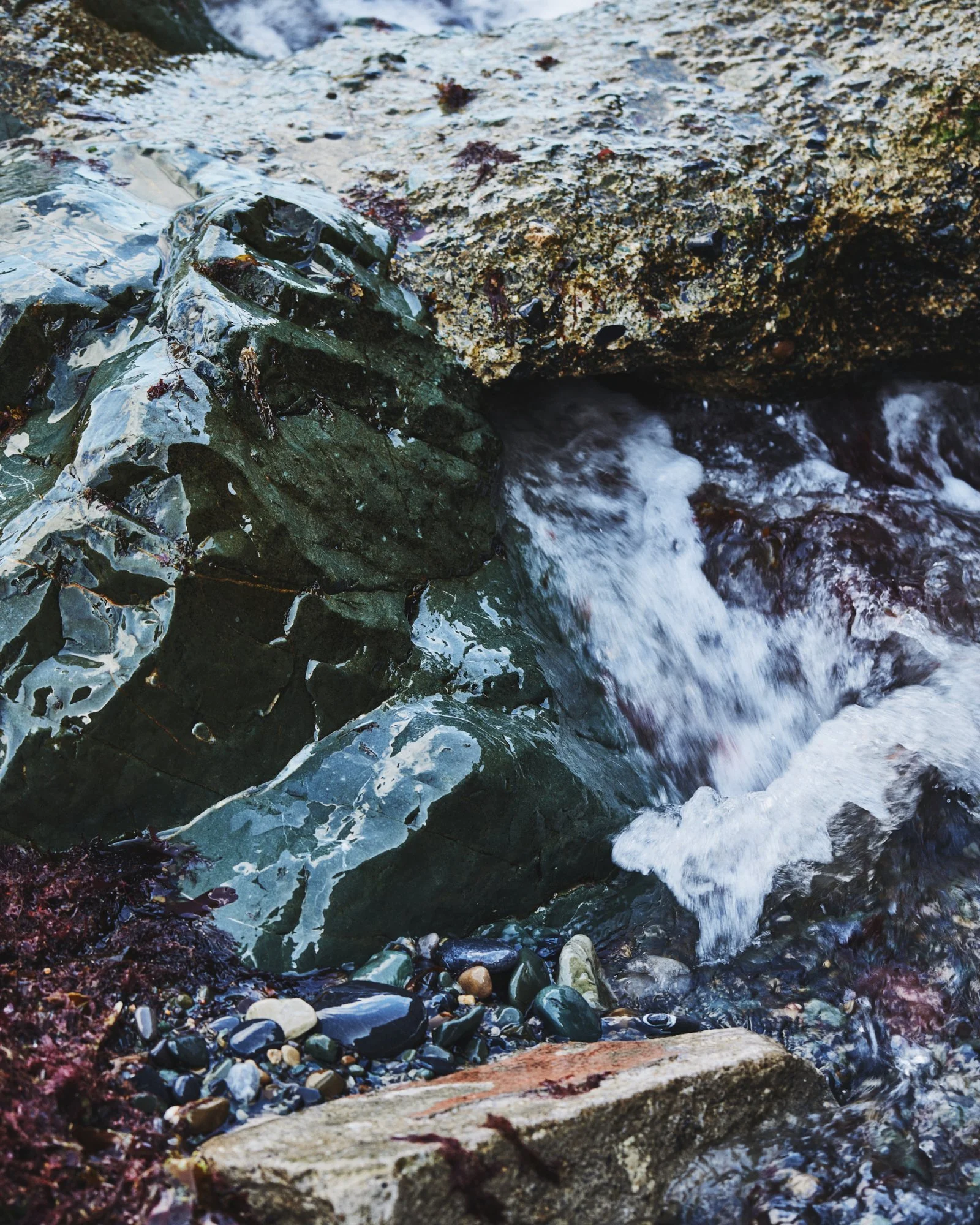 20240823_CASTORE_LEINSTER_0497_HR_2000PX.jpg