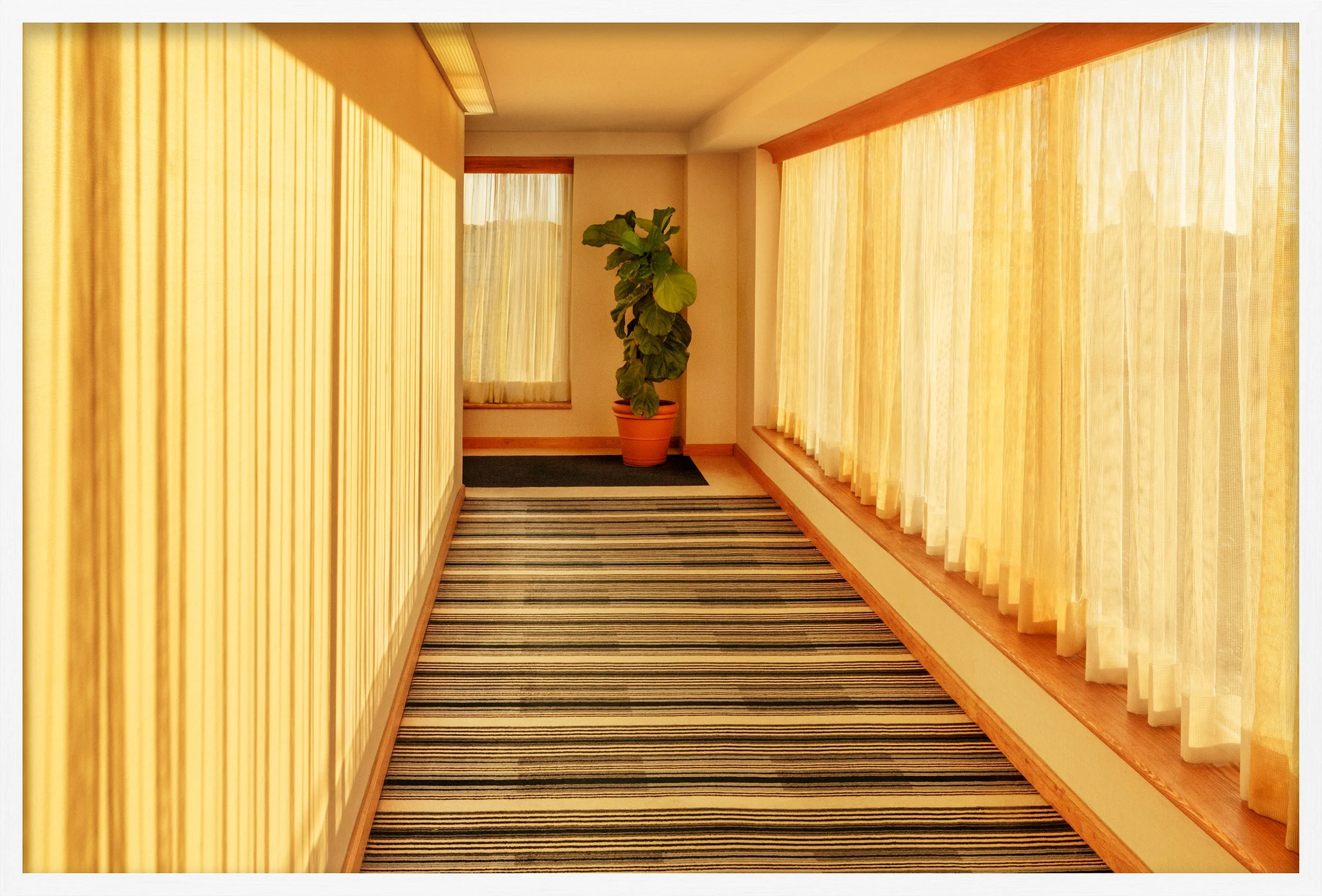 A hallway with yellow curtains on both sides, a striped carpet, a potted plant at the end, and windows with sheer curtains letting in sunlight.