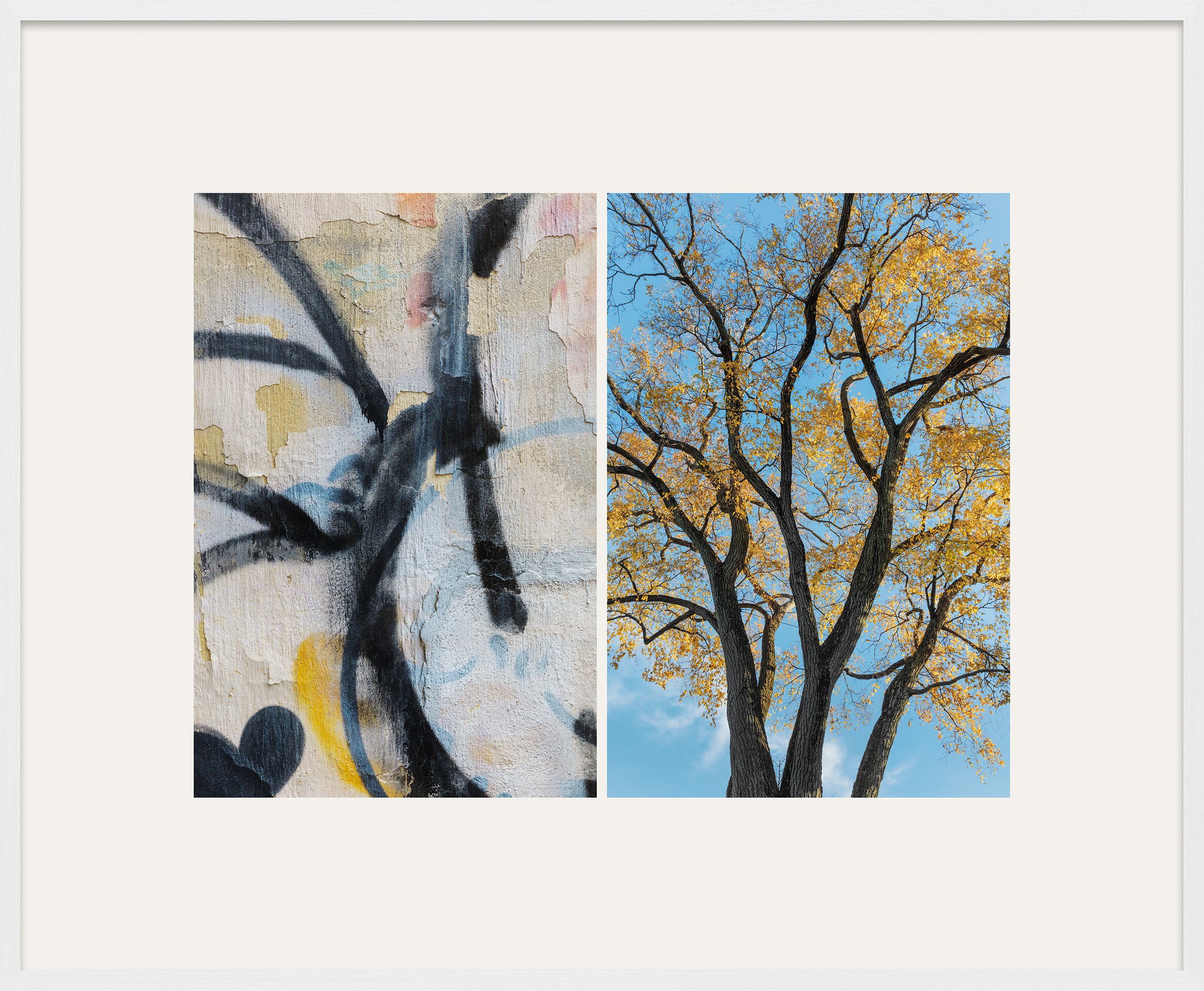 Side-by-side comparison of a graffiti wall and a tree with yellow leaves against a blue sky.