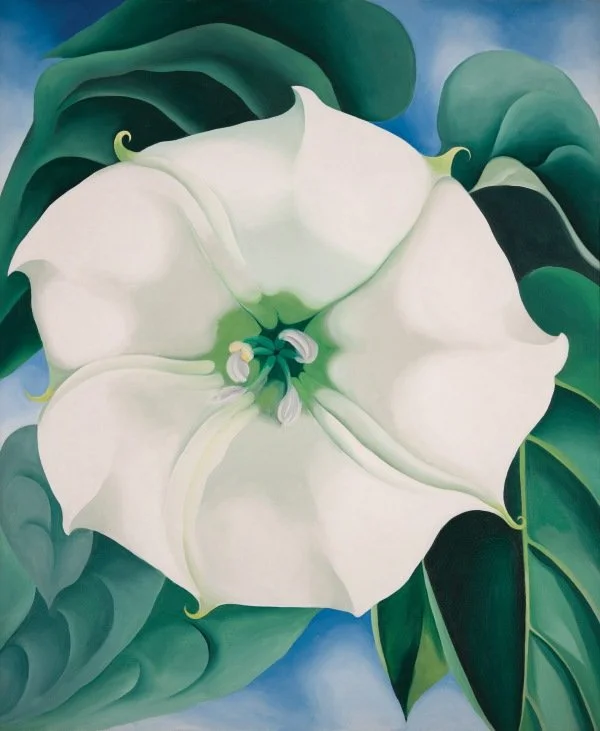 A painting of a large white flower with green leaves in the background.