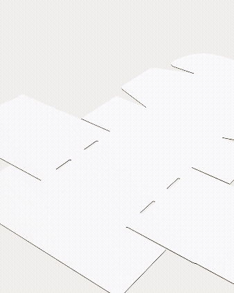 Paris-Quad-Mailer-1.gif