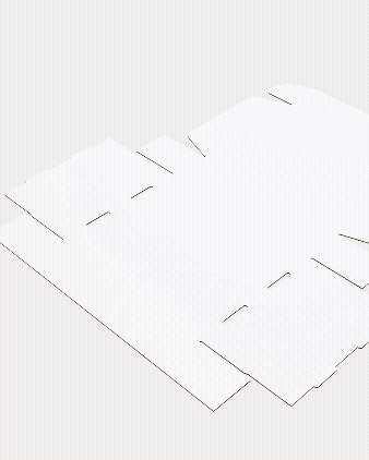Blush-Pink-Toile-Compacto-Mailer-Box-NOTIQ.gif