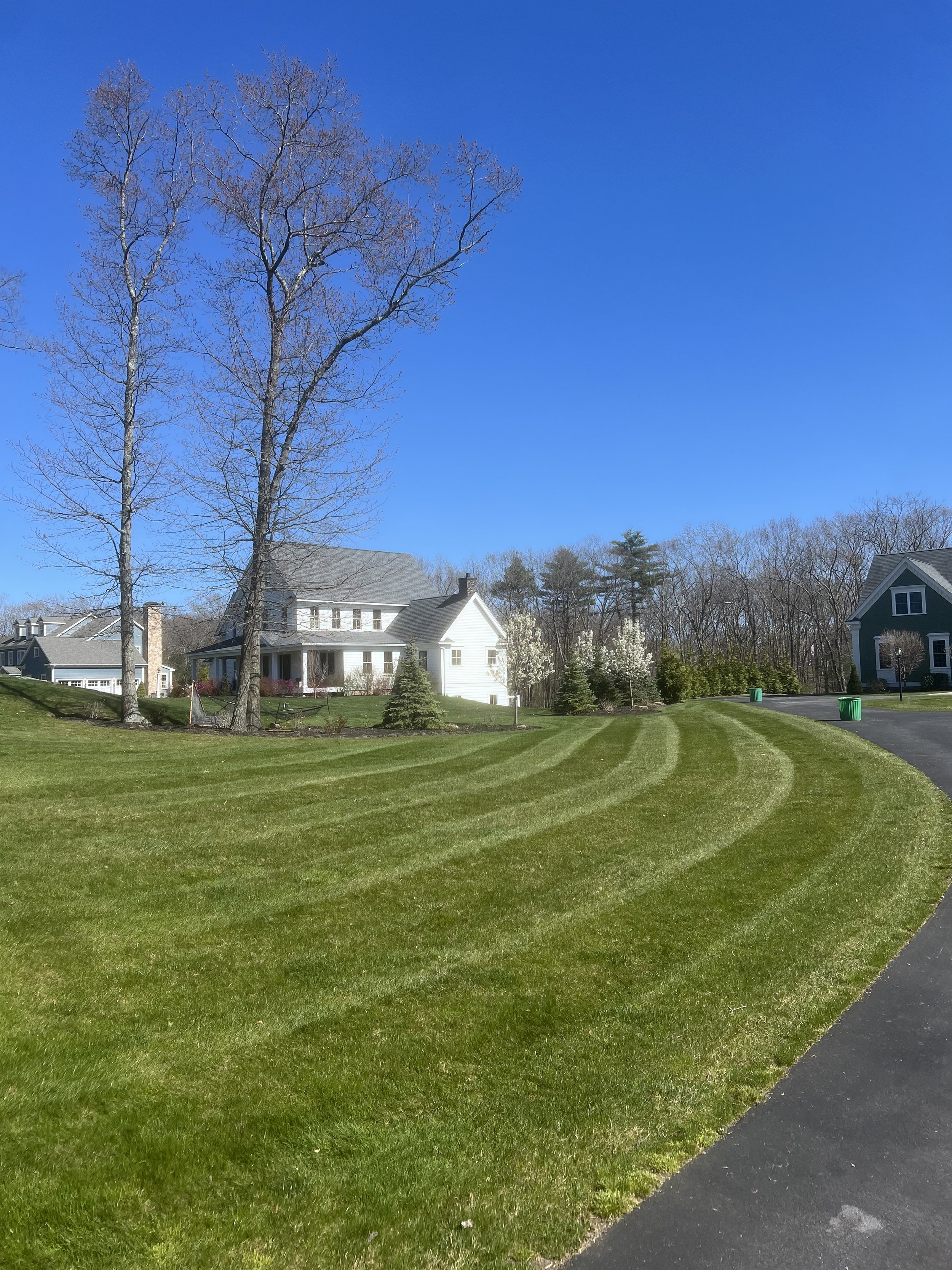 A suburban neighborhood with a large, lush green lawn, some tall leafless trees, white and colored houses, and a clear blue sky.