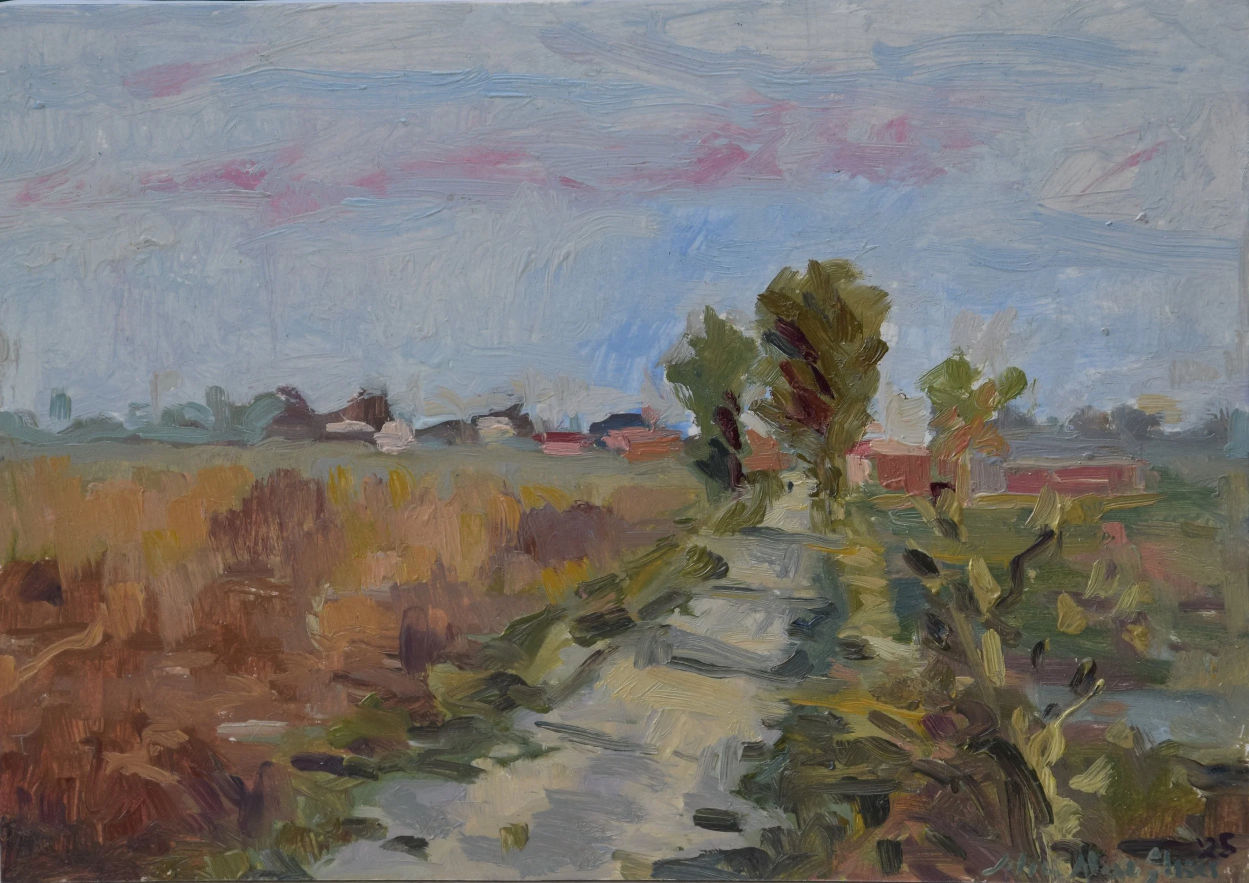 morning light closeup.JPG