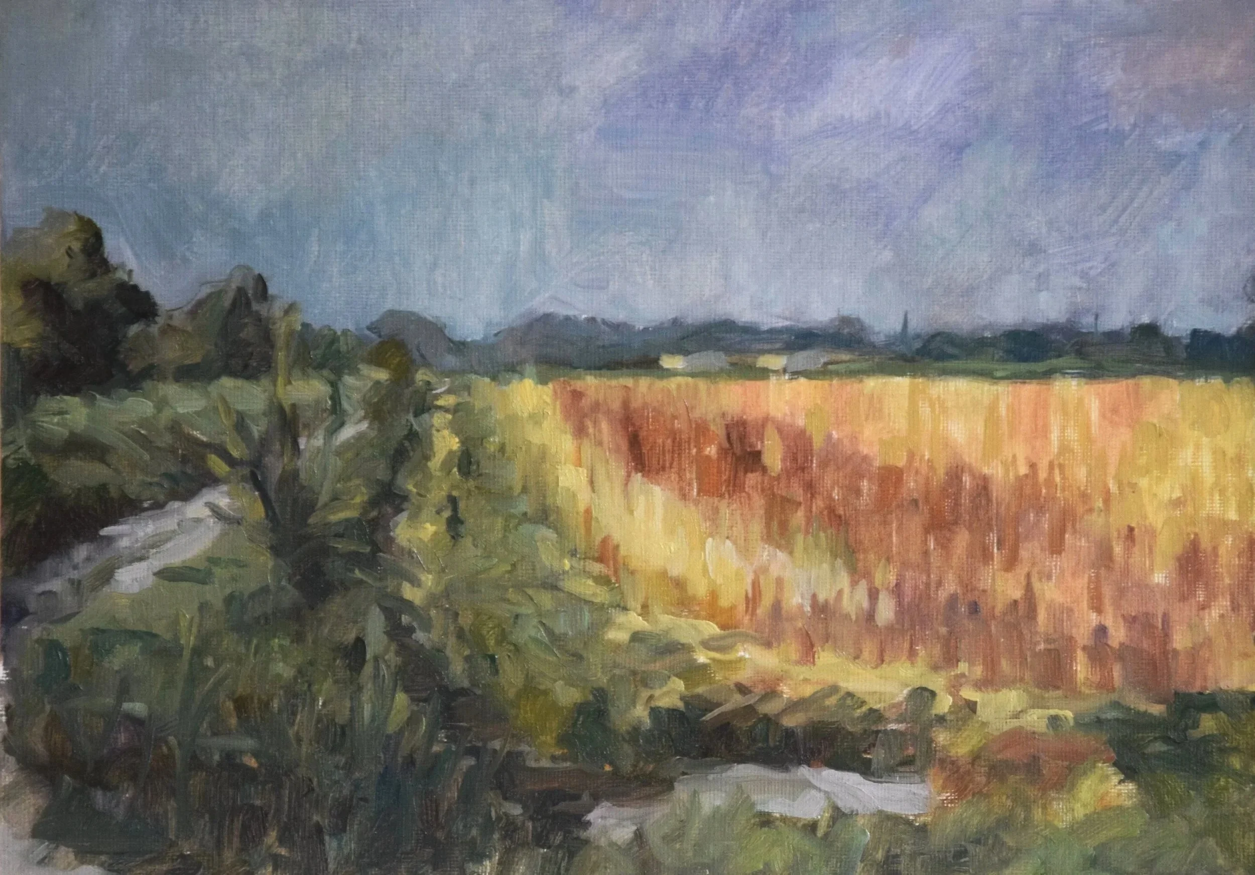 wheatfield%2Bcloseup.jpg