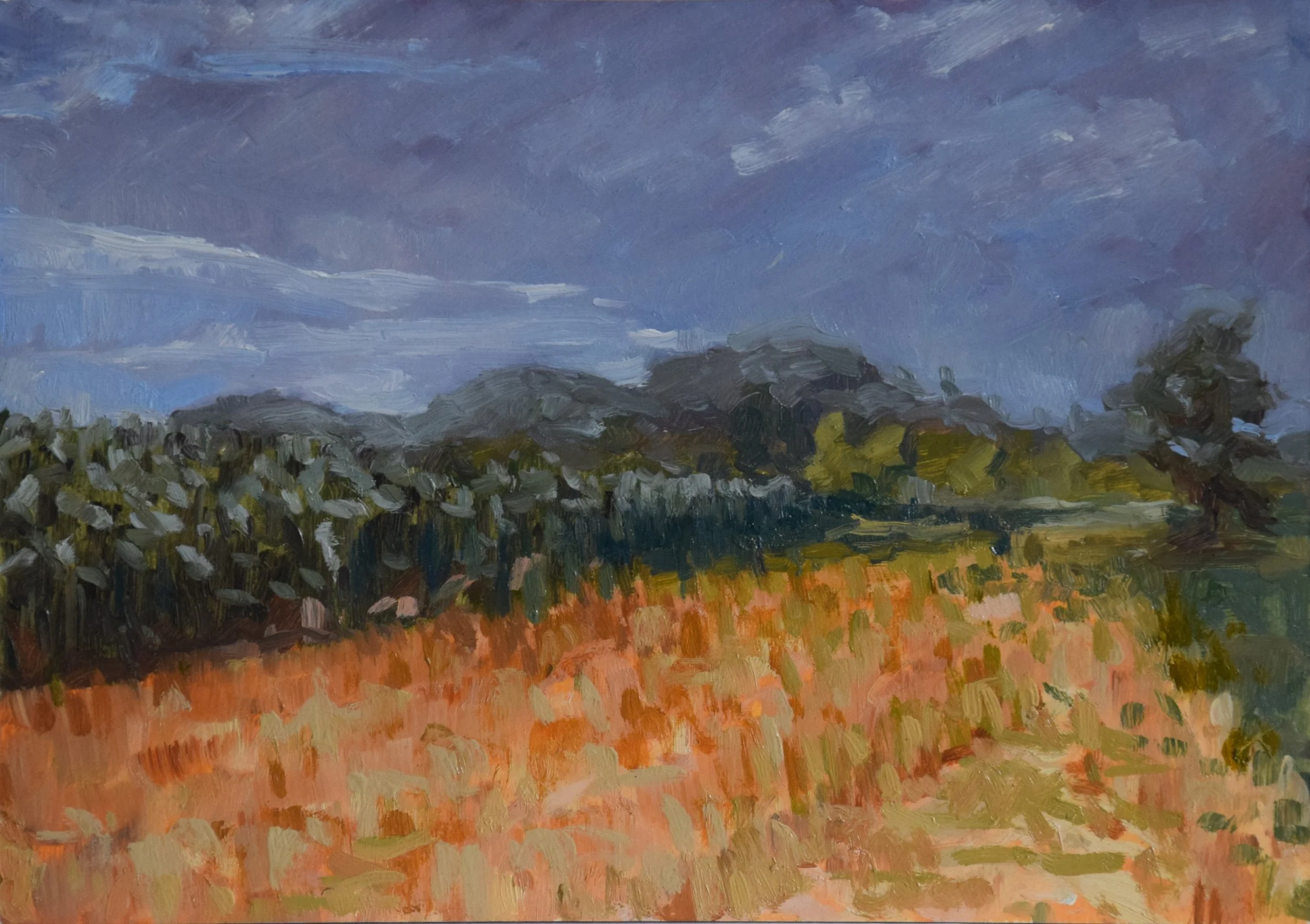 stormy fields closeup 2.JPG